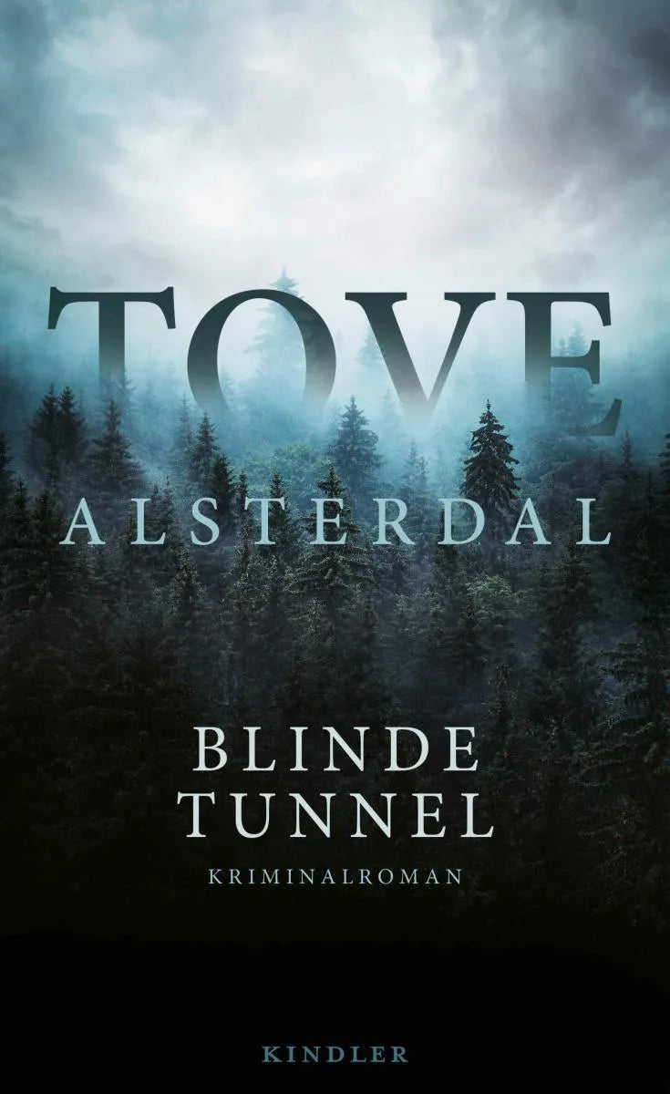 Cover: Blinde Tunnel (E-Book) von Tove Alsterdal