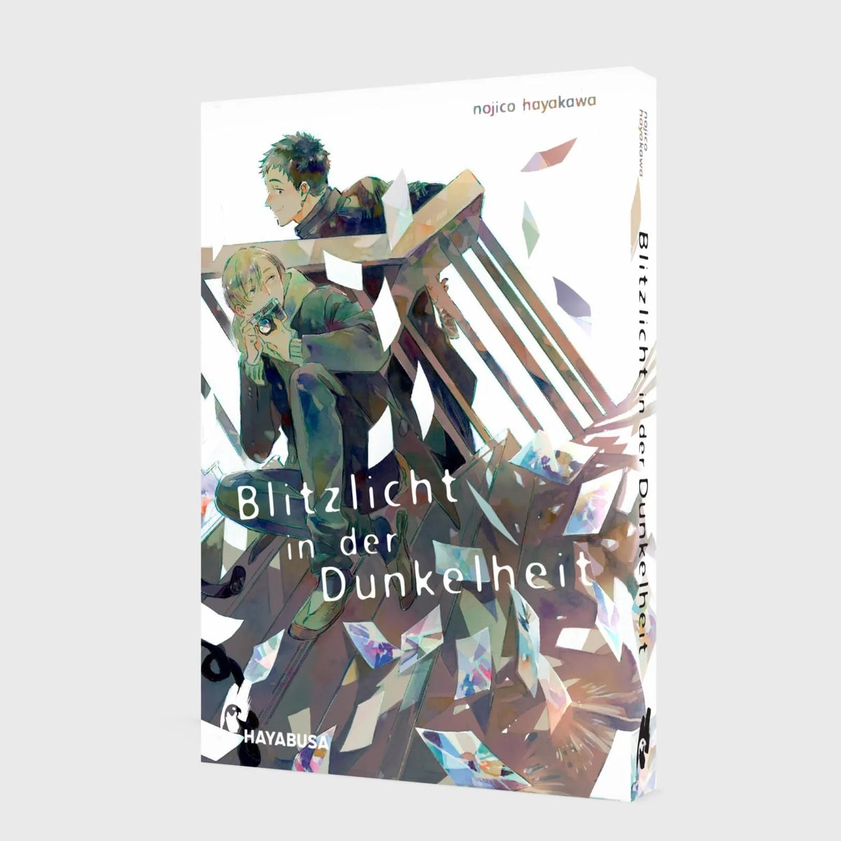 Detailansicht: Blitzlicht in der Dunkelheit (Taschenbuch)