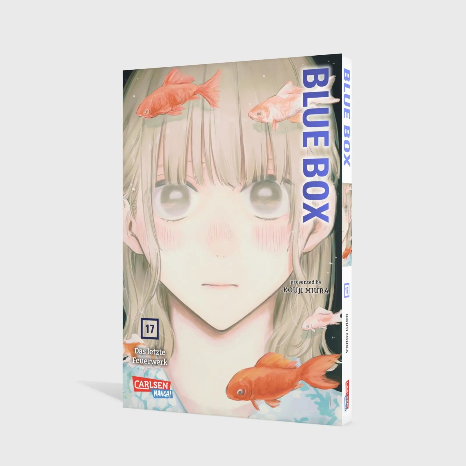 Abbildung von 'Blue Box 17'