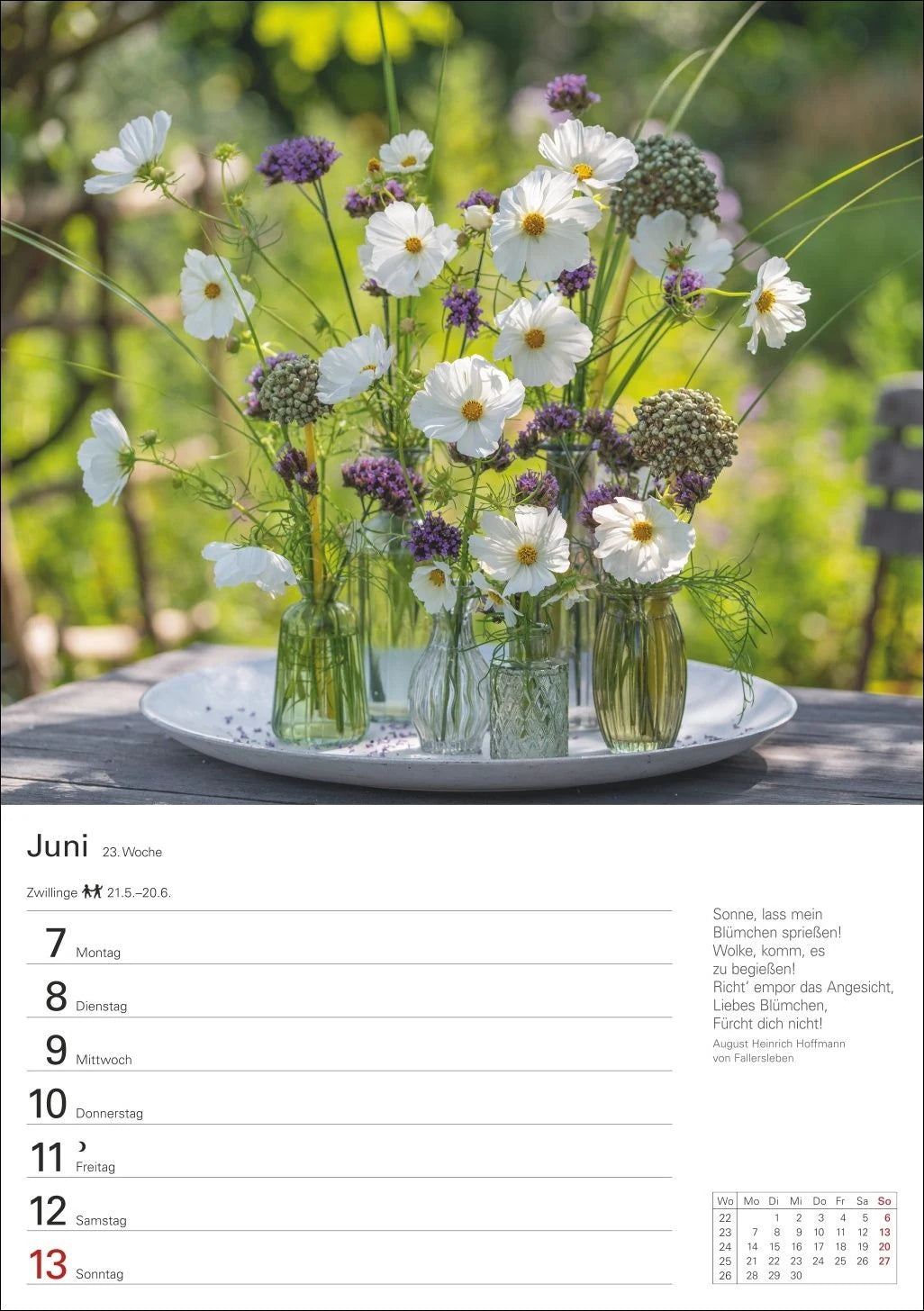 Blumenpracht Wochenplaner 2027 - 53 stimmungsvolle Fotografien – Ansicht