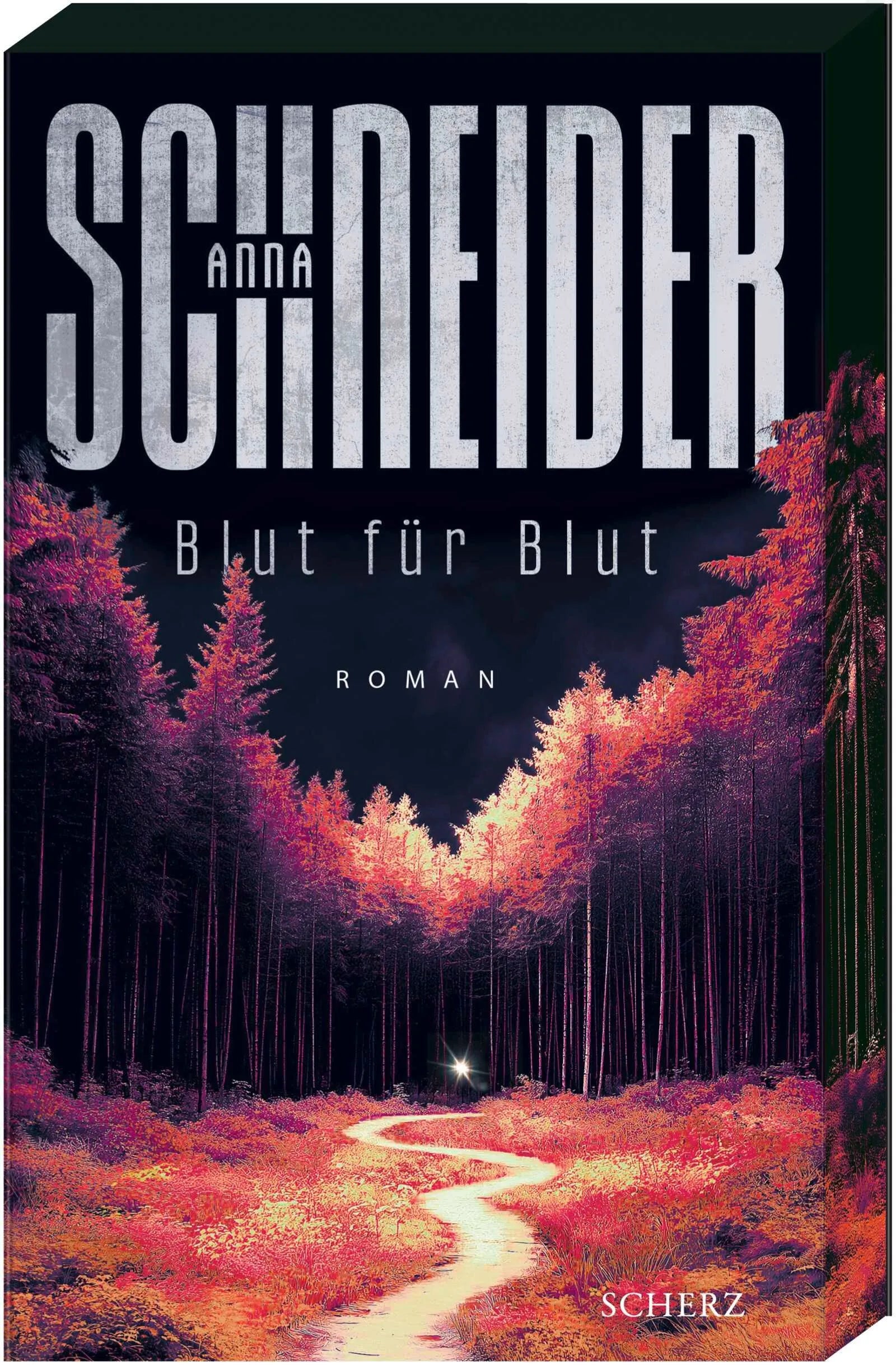 Cover: Blut für Blut (Paperback) von Anna Schneider