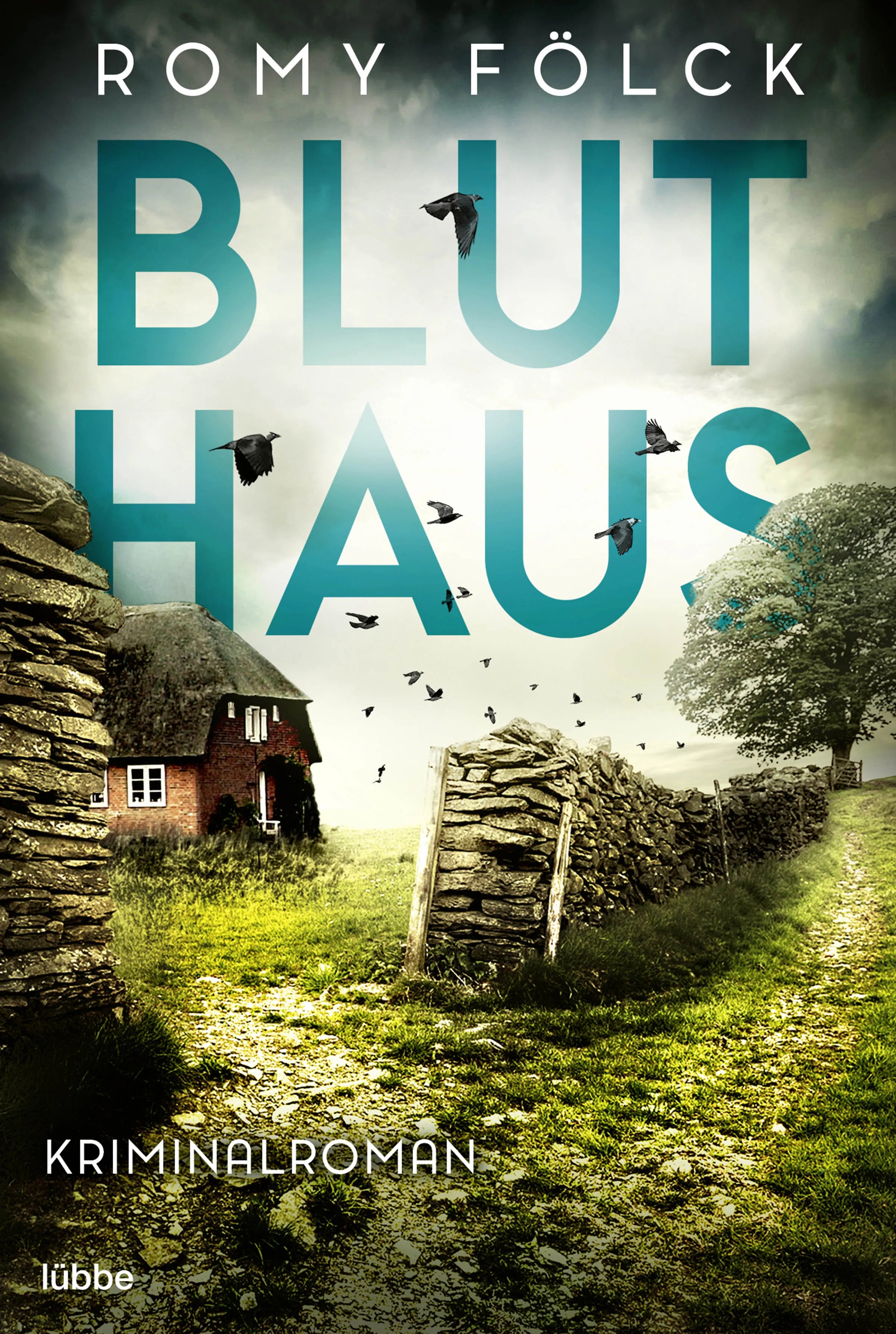 Buchcover von 'Bluthaus' - Taschenbuch von Romy Fölck