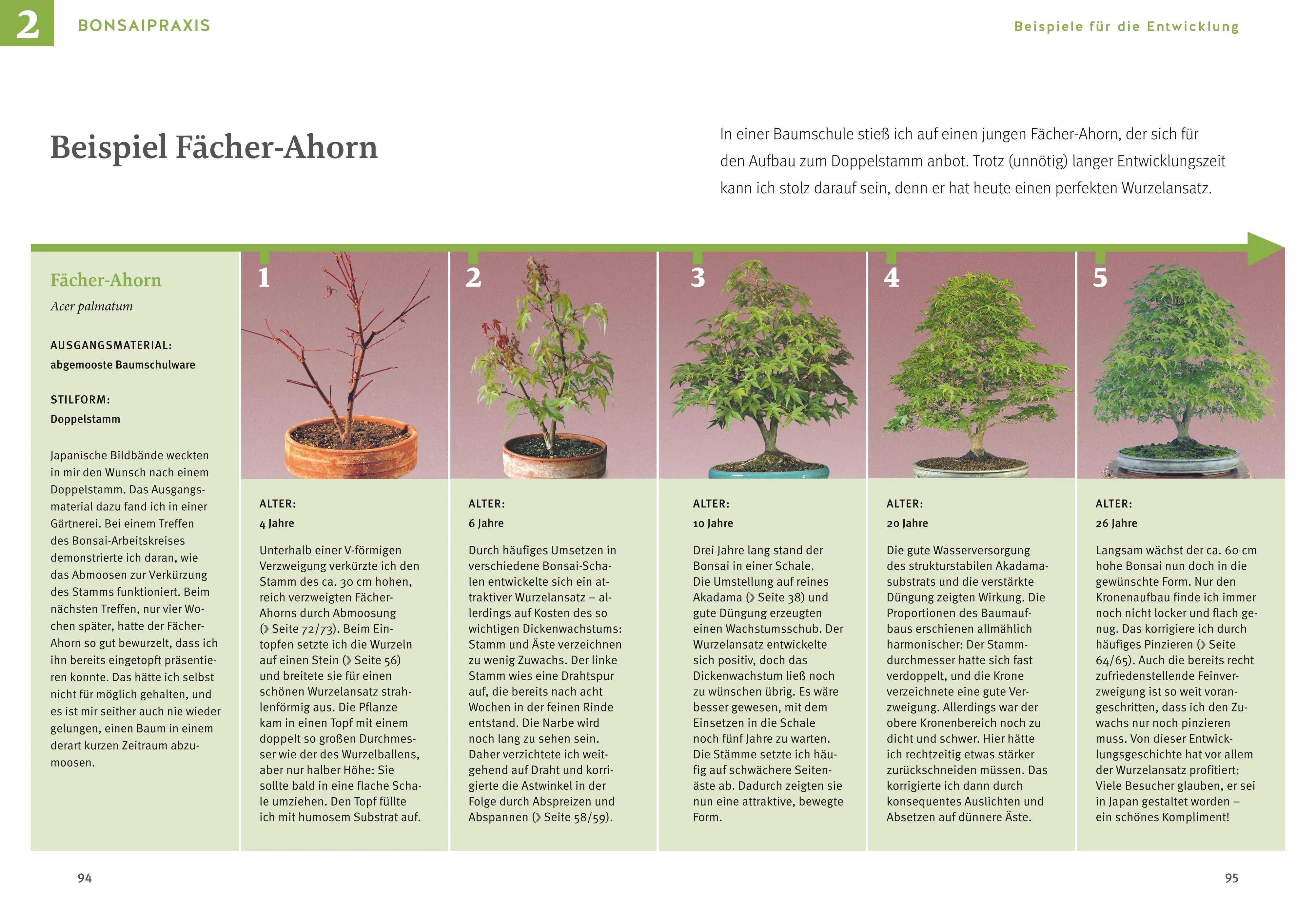 Johann Kastner - Bonsai ziehen, gestalten und pflegen