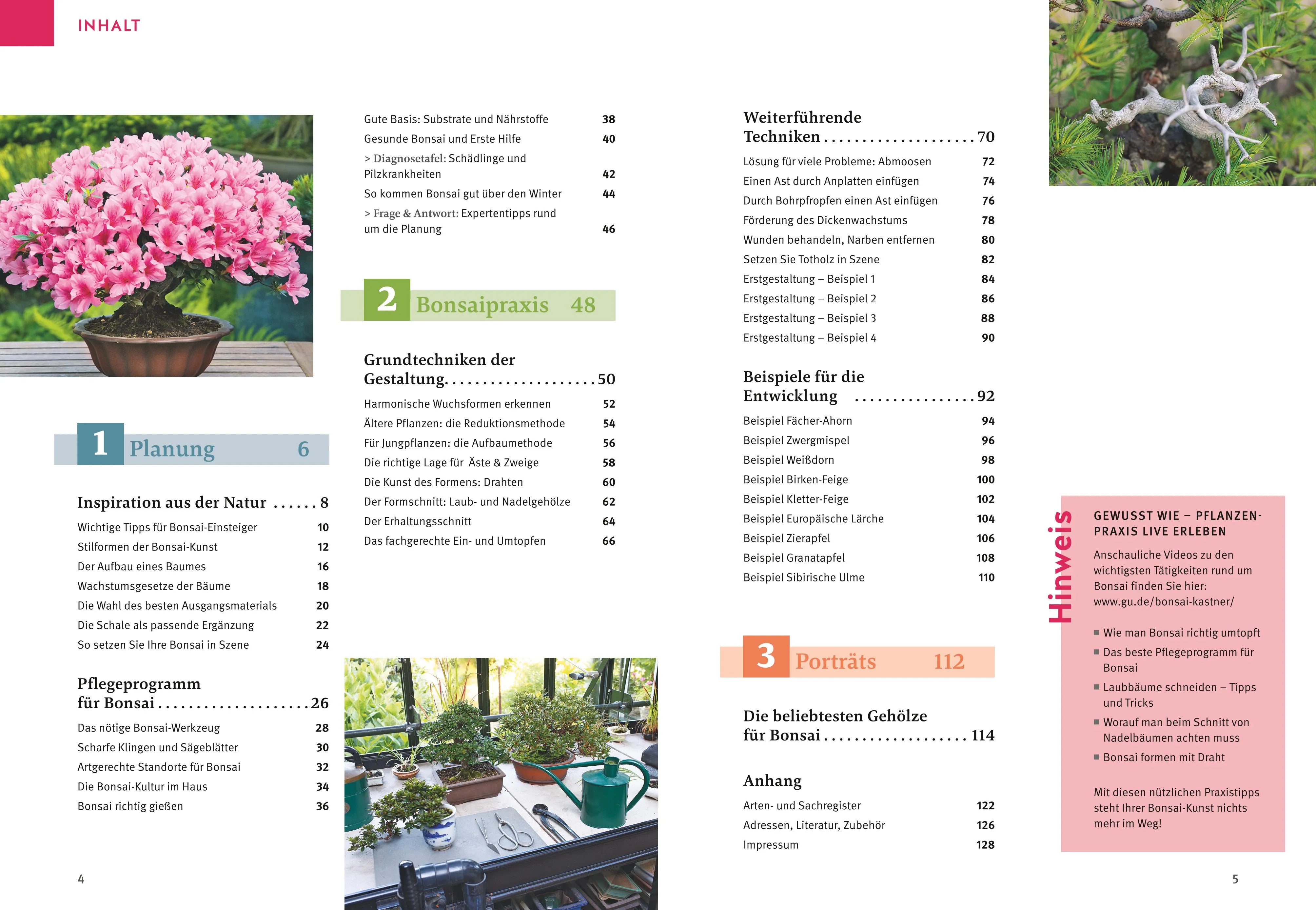 Abbildung von 'Bonsai ziehen, gestalten und pflegen'