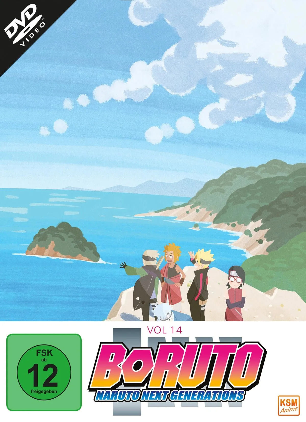 Boruto: Naruto Next Generations - Volume 14 (Ep. - DVD