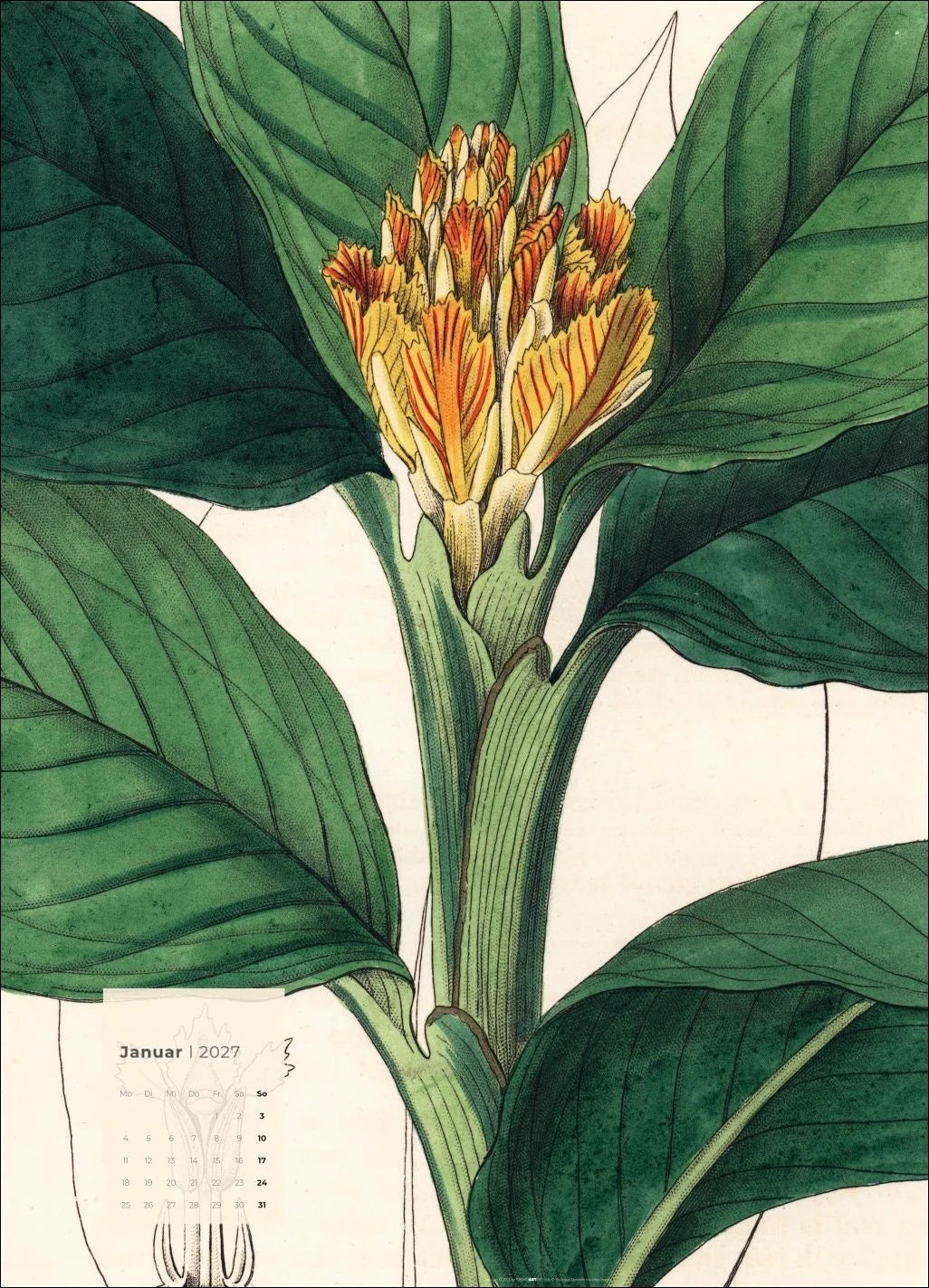 Botanicals Kalender 2027 – Ansicht