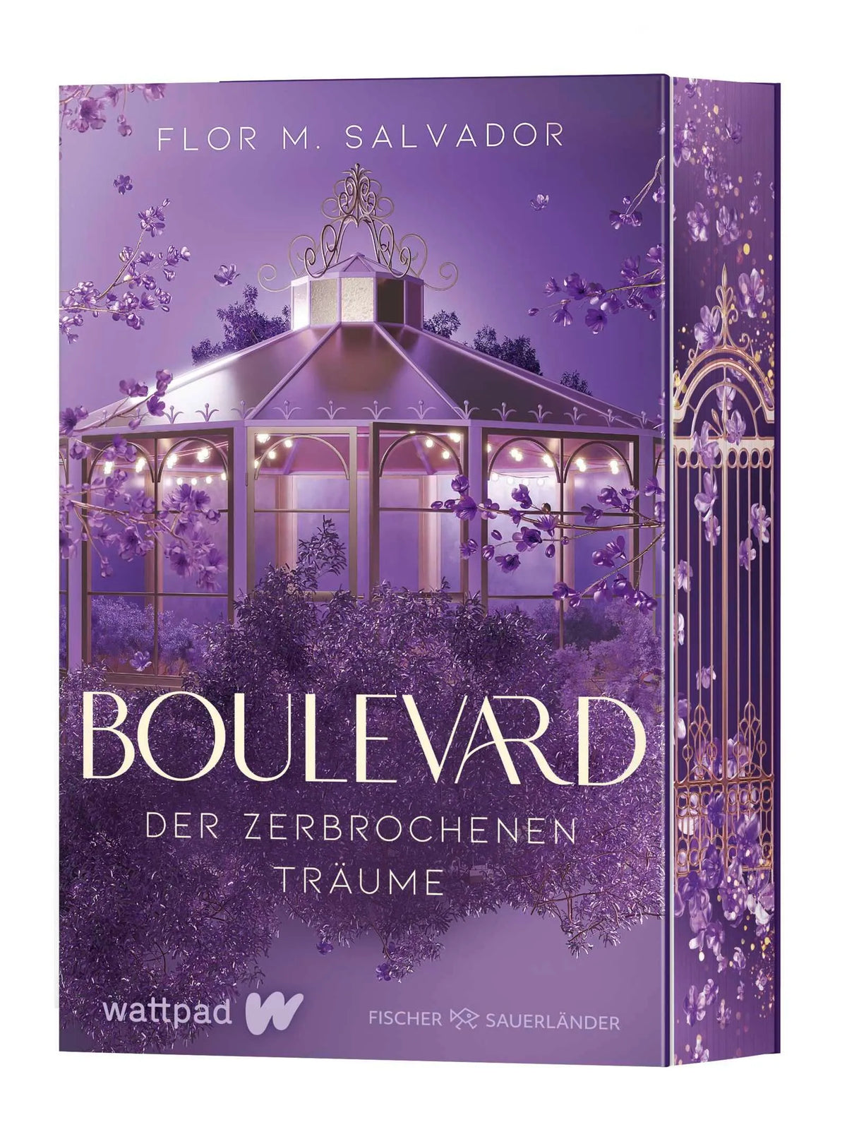 Cover: Boulevard der zerbrochenen Träume (Paperback) von Flor M. Salvador