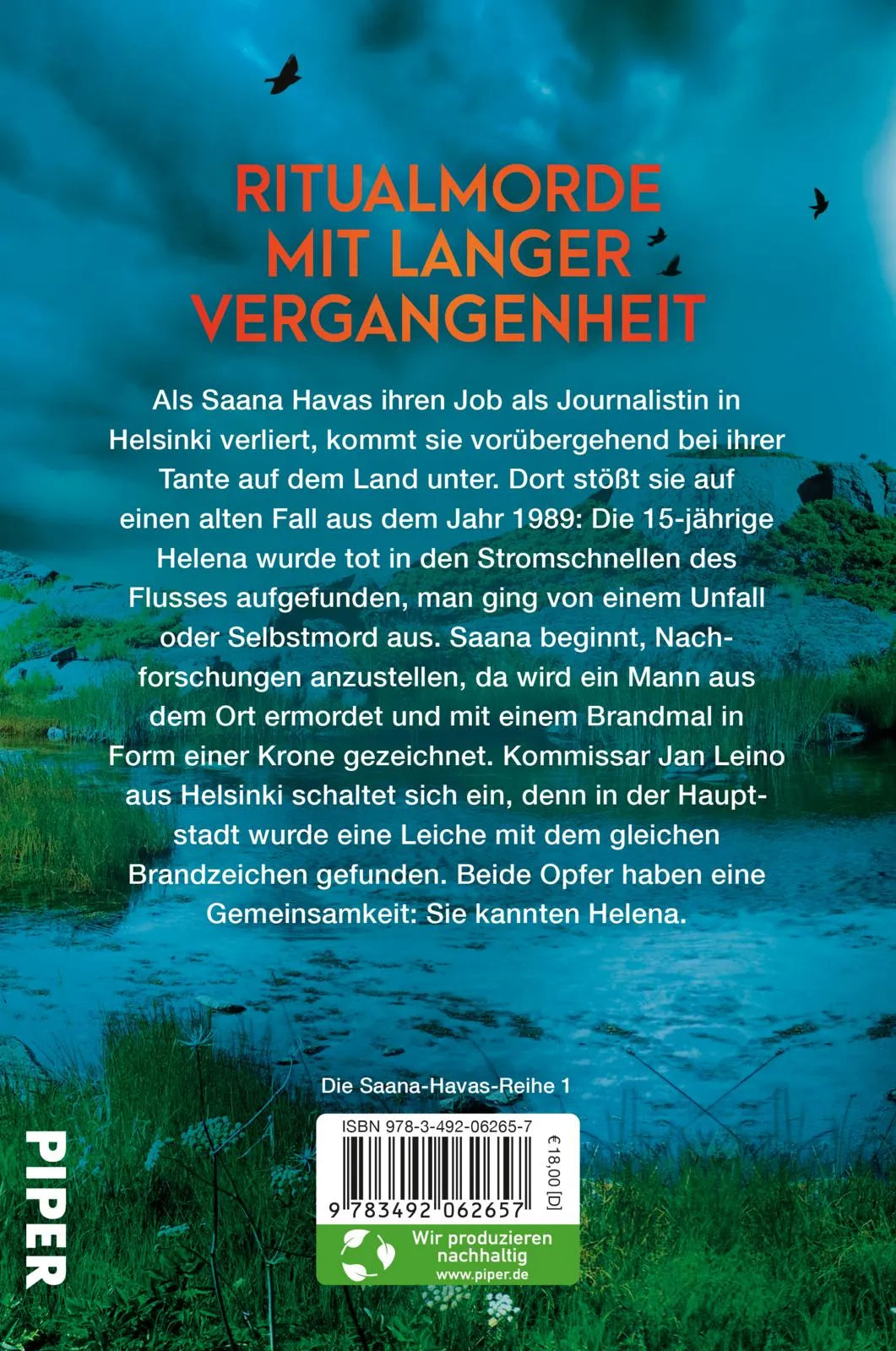 Buchrückseite von 'Brandmal' mit Klappentext - Paperback