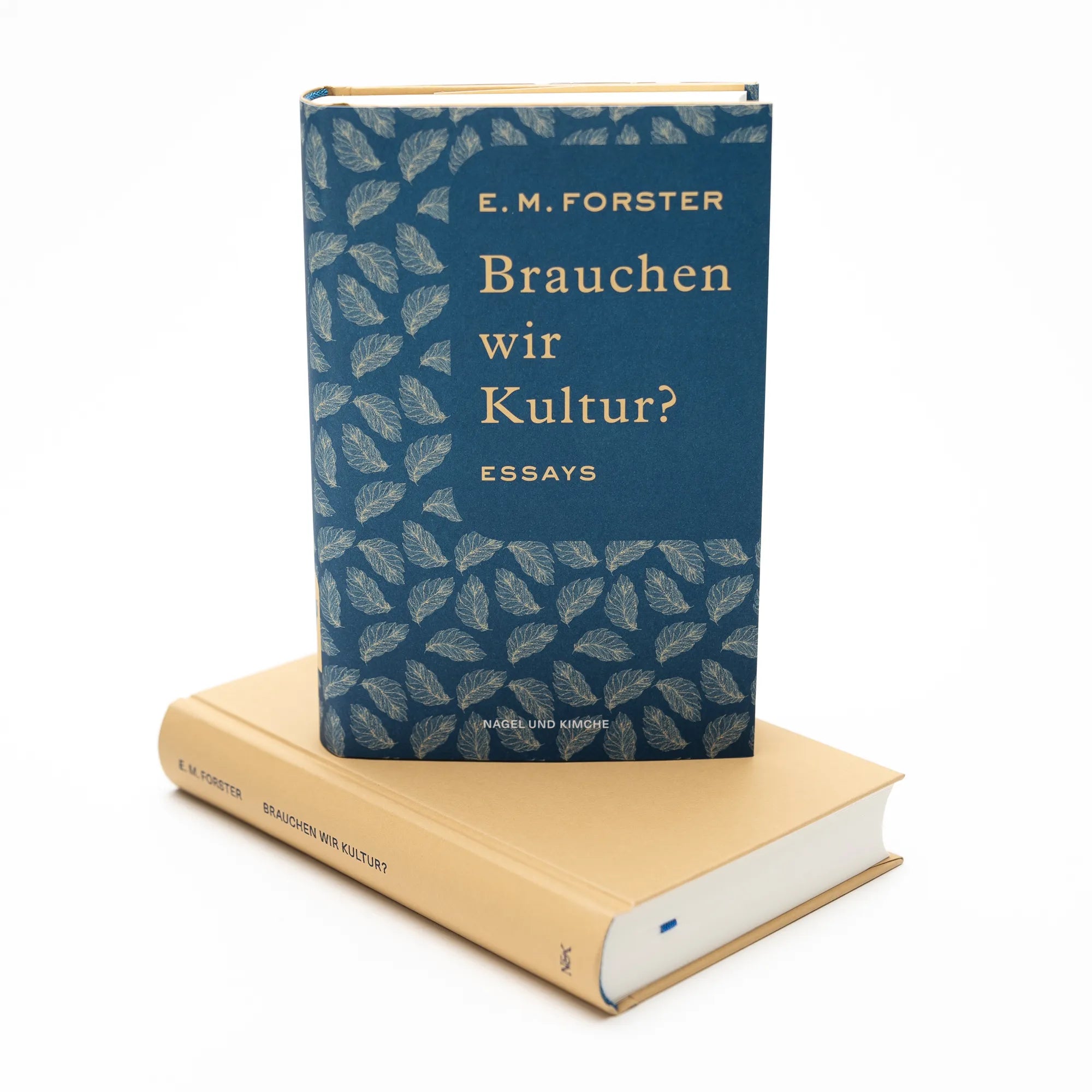 Produktansicht: Brauchen wir Kultur? (Gebundene Ausgabe)