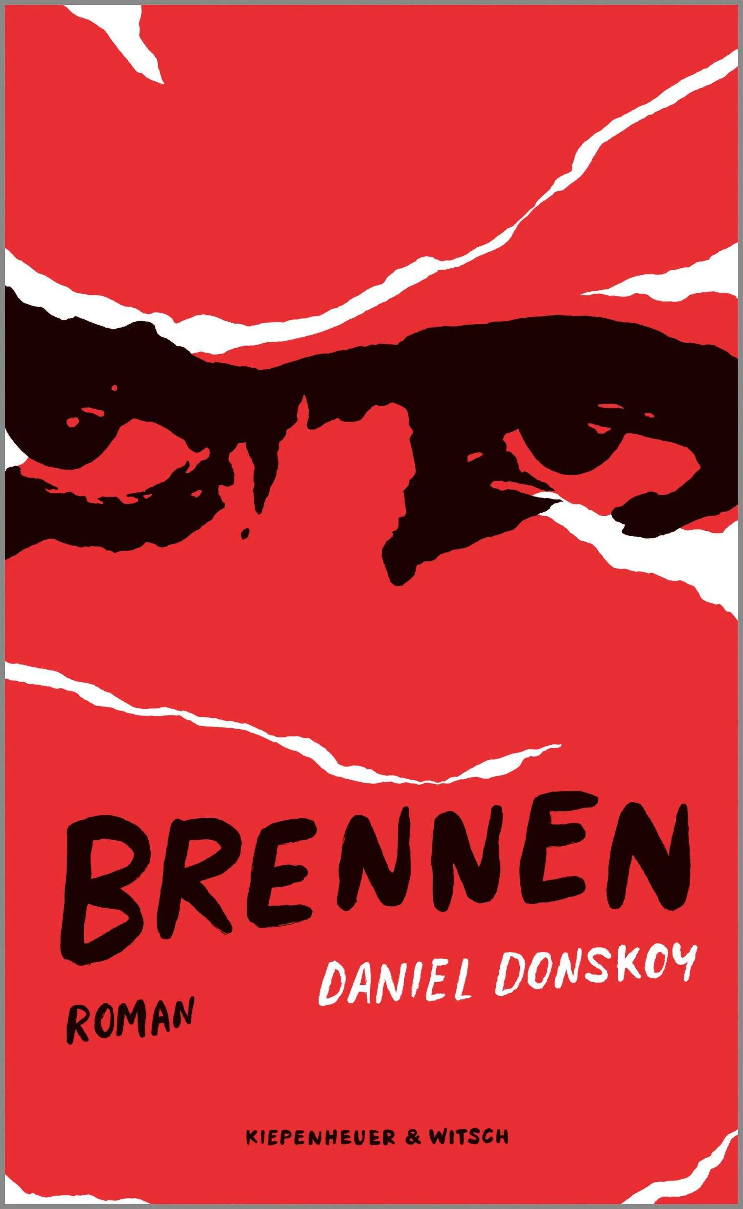 Cover: Brennen (E-Book) von Daniel Donskoy
