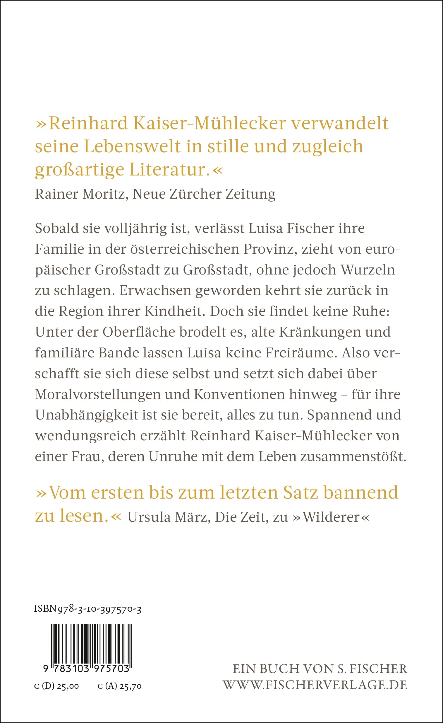 Buchrückseite von 'Brennende Felder' mit Klappentext - Gebundene Ausgabe