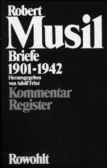Buchcover von 'Briefe 1901 - 1942' - Gebundene Ausgabe von Robert Musil