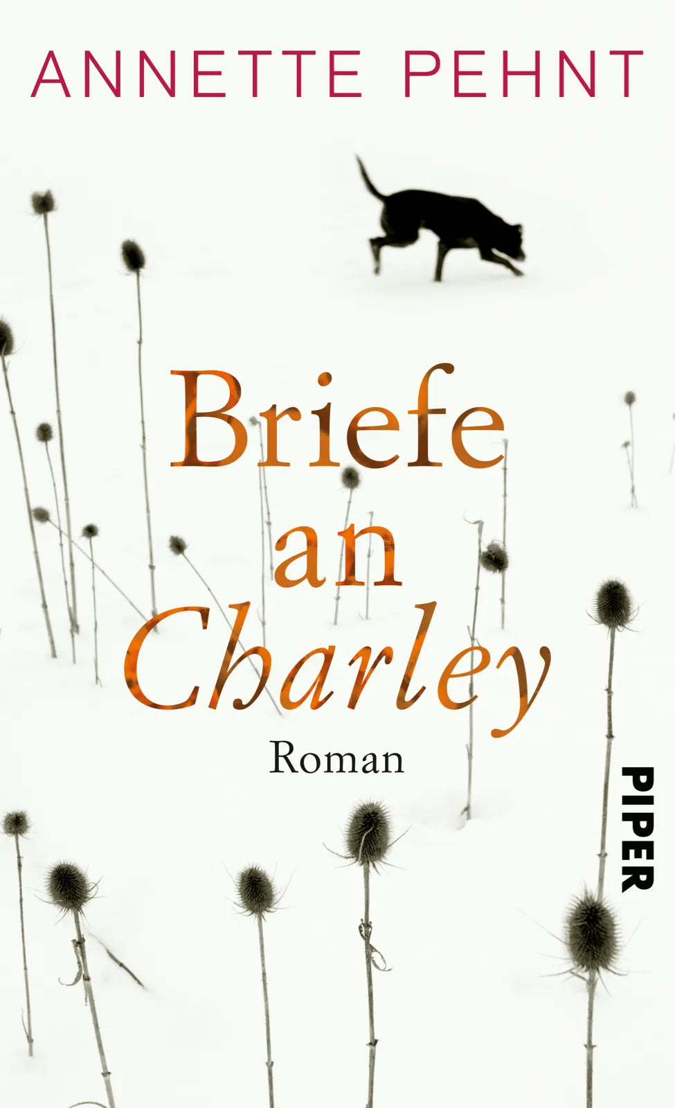 Buchcover von 'Briefe an Charley' - Gebundene Ausgabe von Annette Pehnt