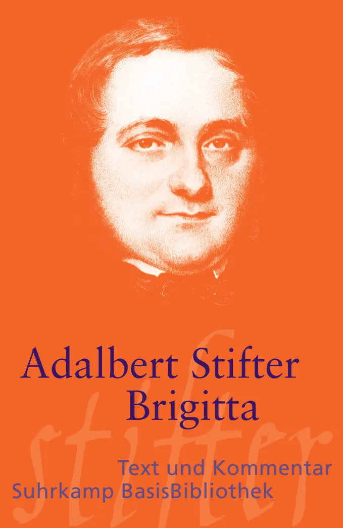 Buchcover von 'Brigitta' - Taschenbuch von Adalbert Stifter