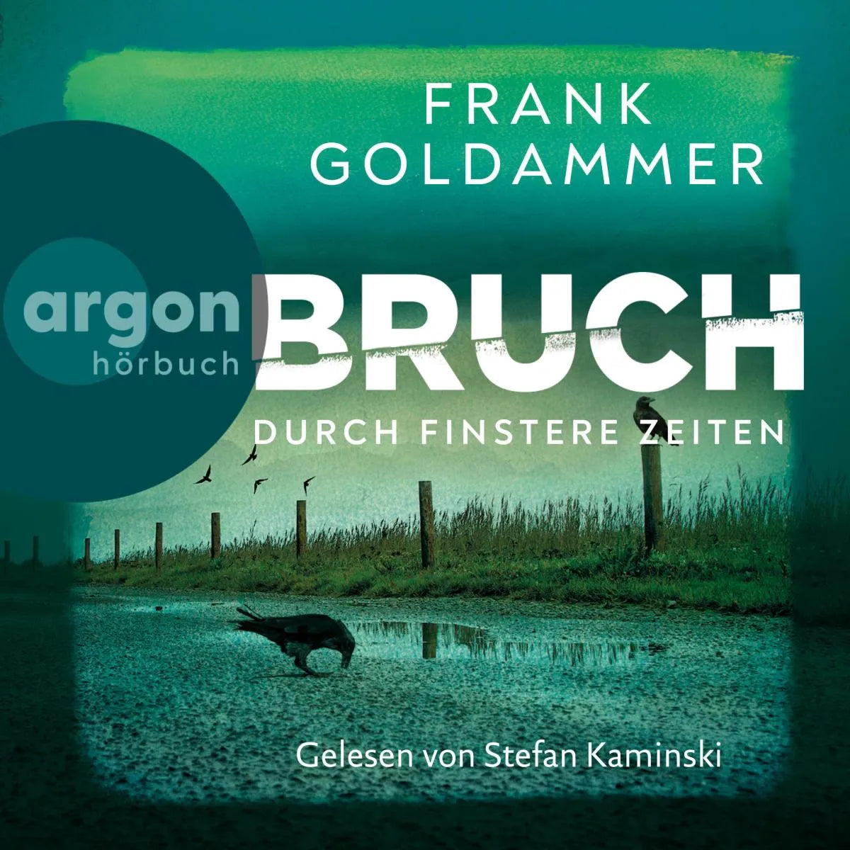 Cover: Bruch: Durch finstere Zeiten (Hörbuch Download) von Frank Goldammer