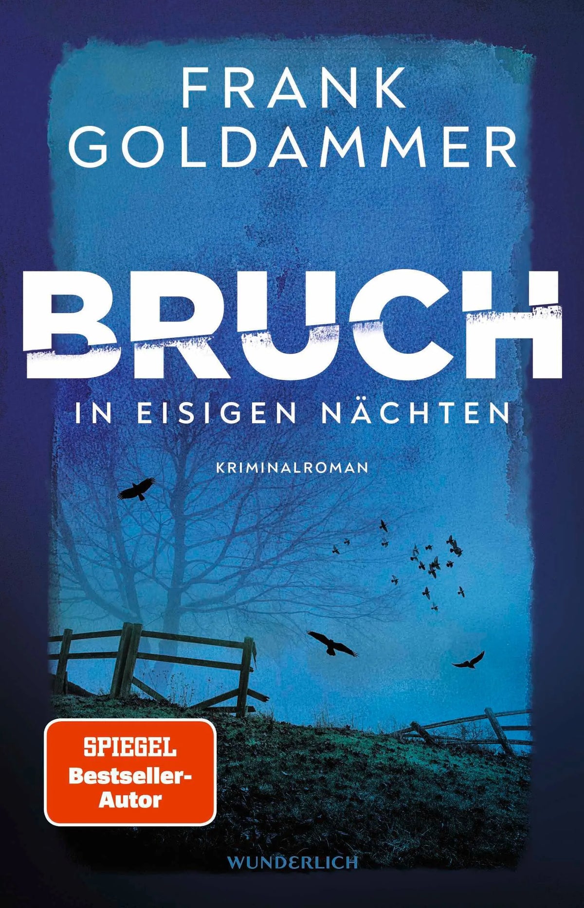 Cover: Bruch: In eisigen Nächten (Paperback) von Frank Goldammer