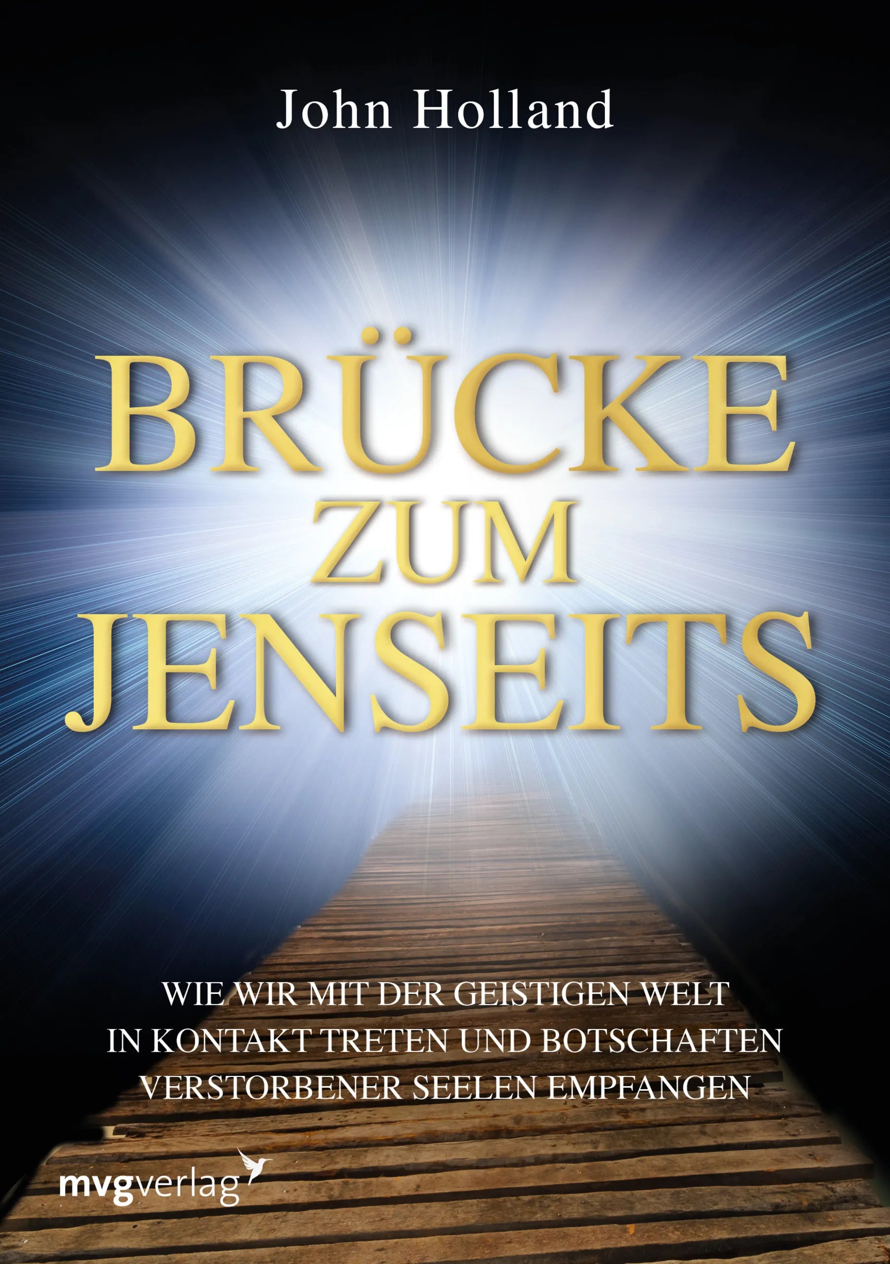 Buchcover von 'Brücke zum Jenseits' - Gebundene Ausgabe von John Holland