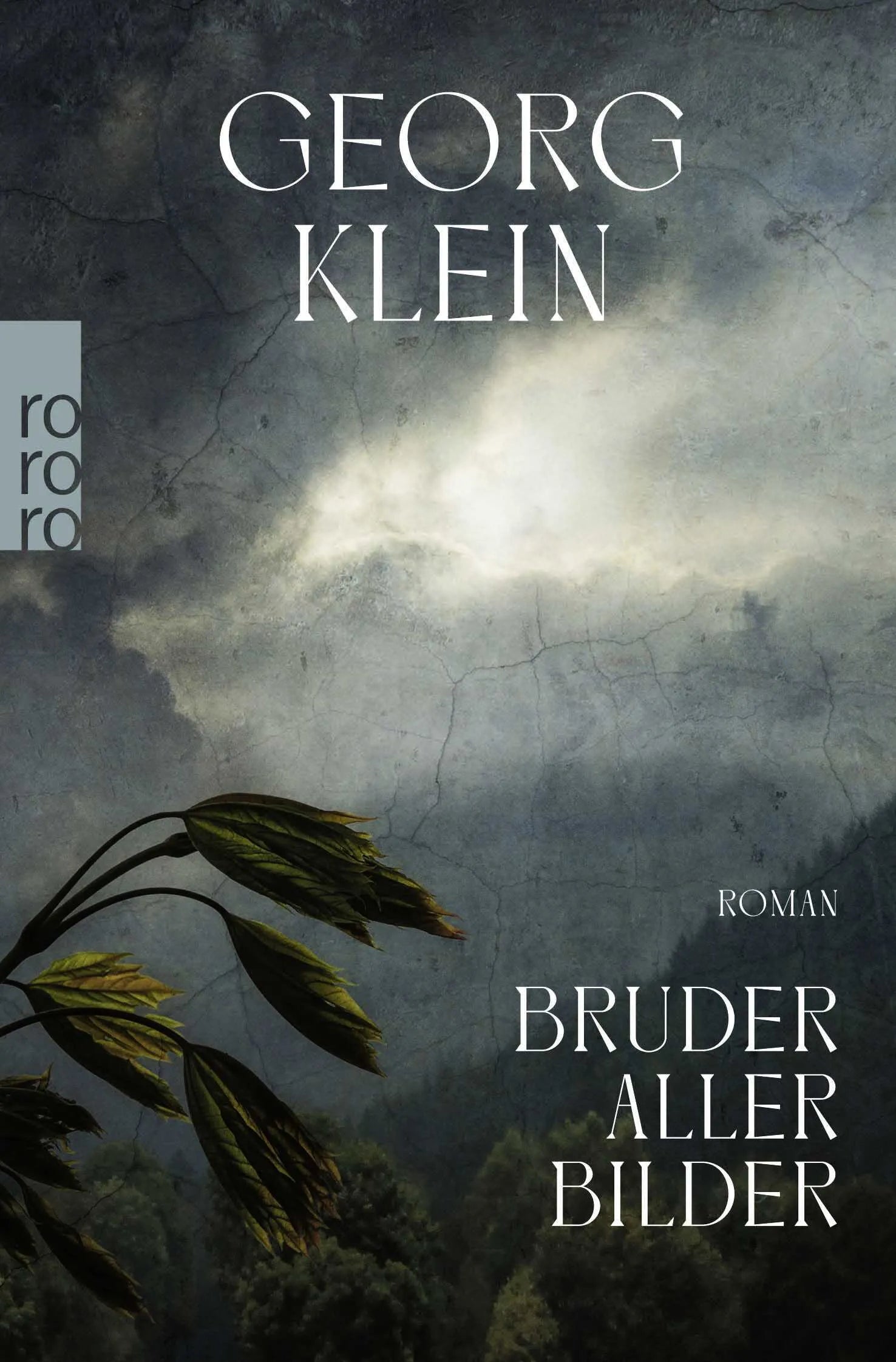 Buchcover von 'Bruder aller Bilder' - Taschenbuch von Georg Klein