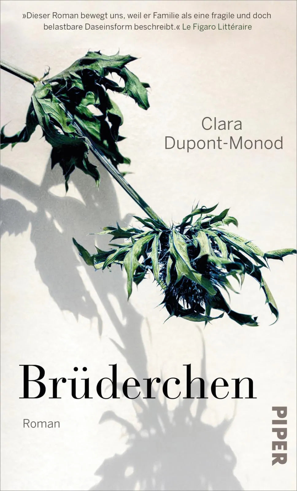 Buchcover von 'Brüderchen' - Gebundene Ausgabe von Clara Dupont-Monod