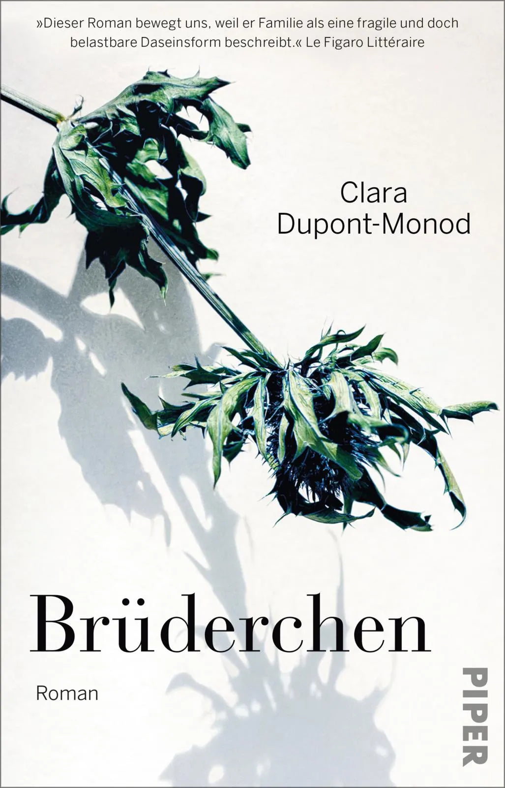 Buchcover von 'Brüderchen' - Taschenbuch von Clara Dupont-Monod