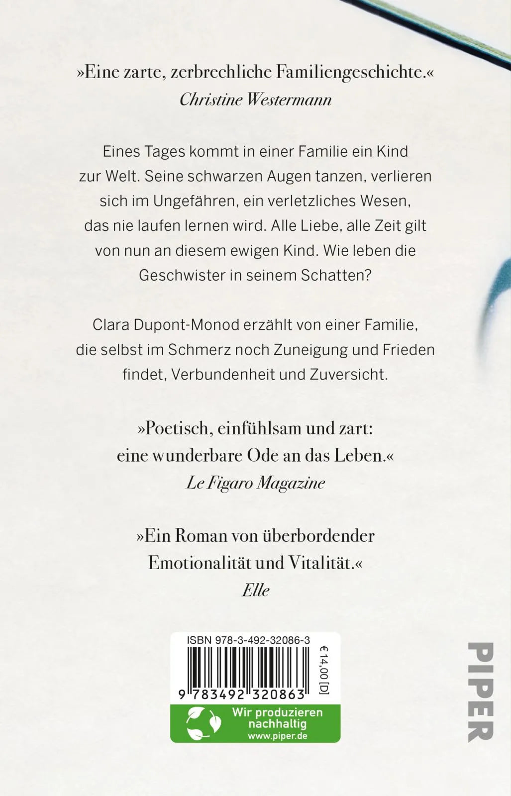 Buchrückseite von 'Brüderchen' mit Klappentext - Taschenbuch
