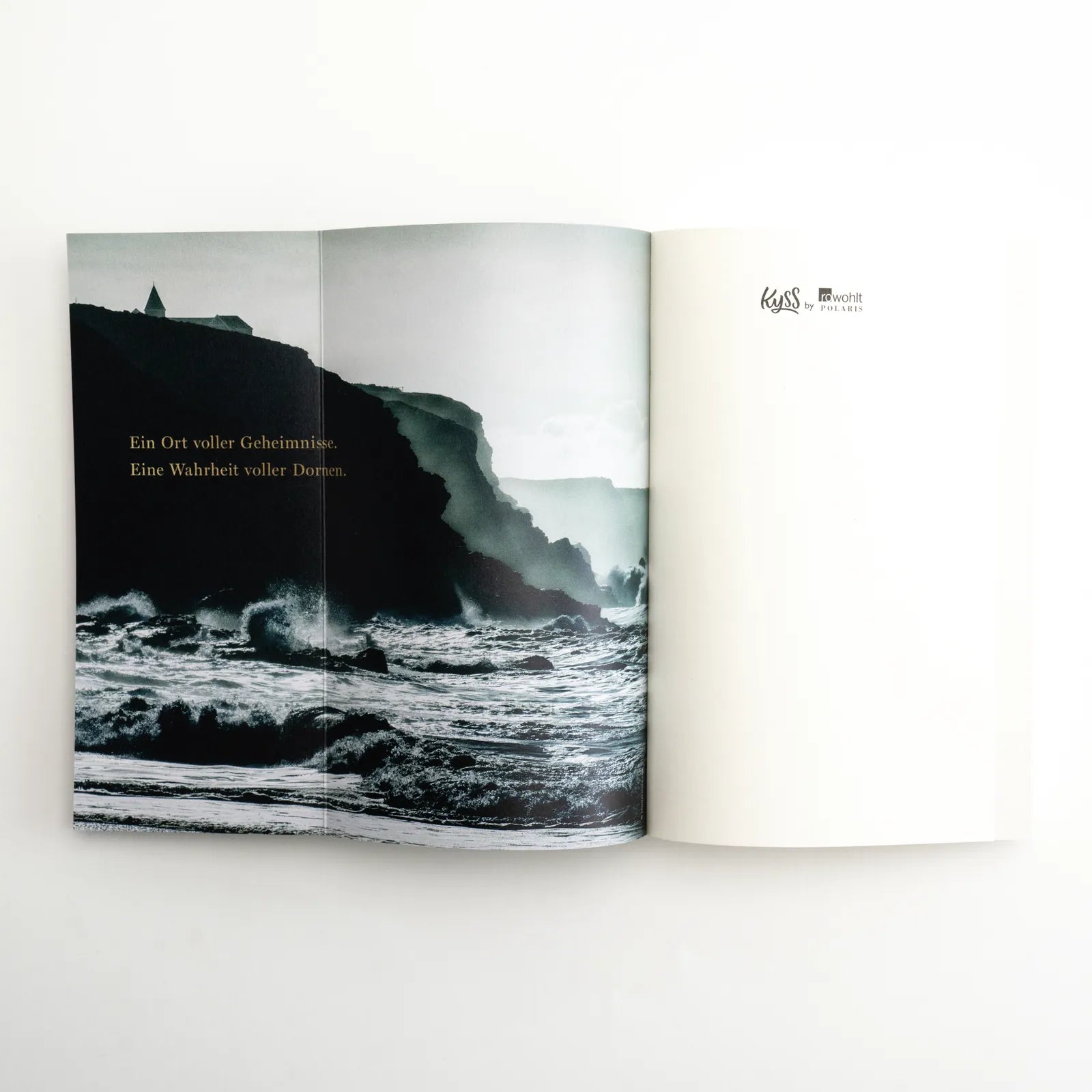 Dominik Gaida - Brynmor University – Geheimnisse
