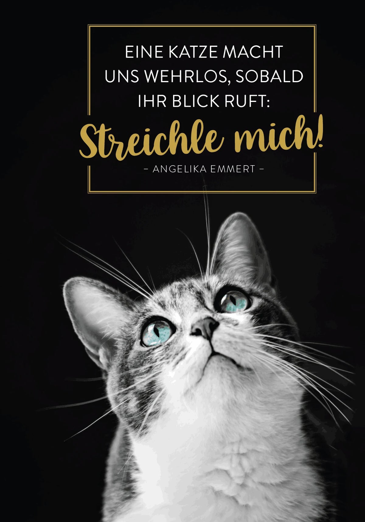 Buchkalender 2027: Für Katzenfreunde – Ansicht