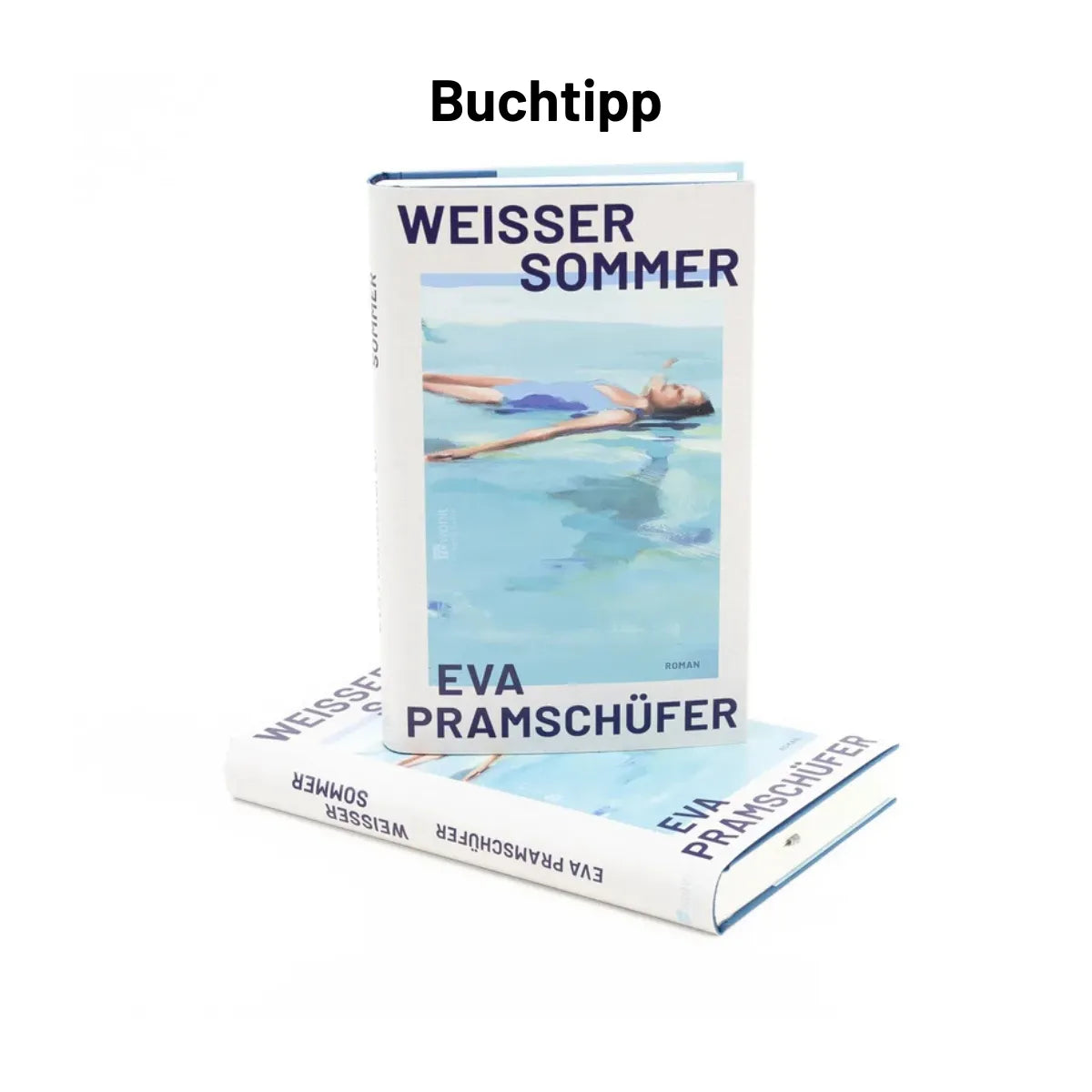 Buchtipp Weisser Sommer von Eva Pramschuefer