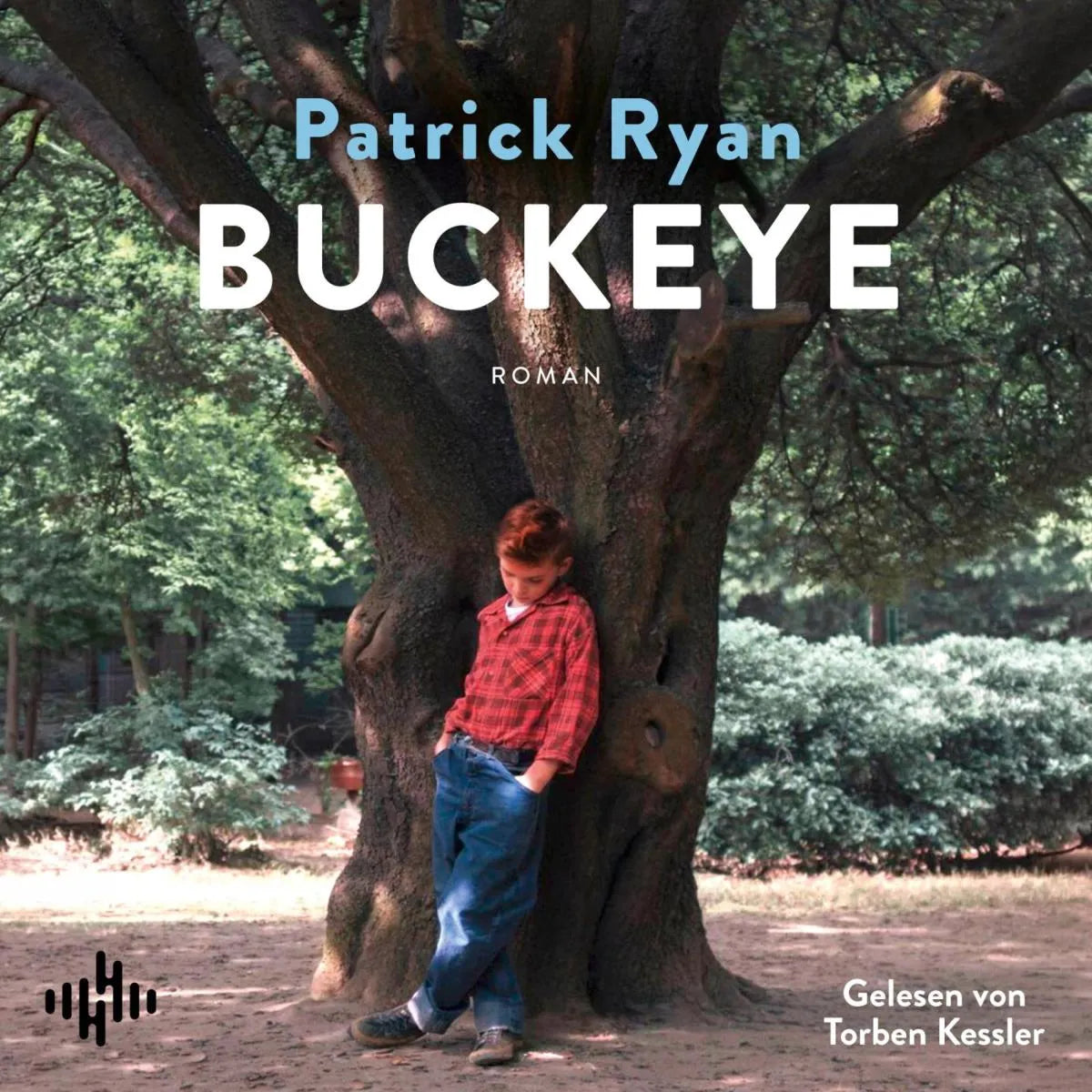 Cover: Buckeye (Hörbuch Download) von Patrick Ryan