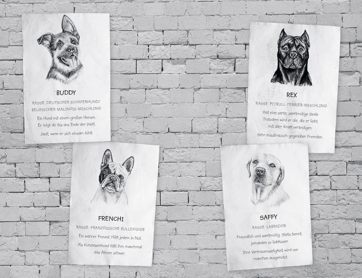 Gill Lewis - Buddy – Mein Leben als Straßenhund