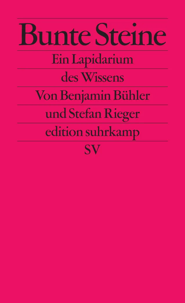 Buchcover von 'Bunte Steine' - Taschenbuch von Benjamin Bühler