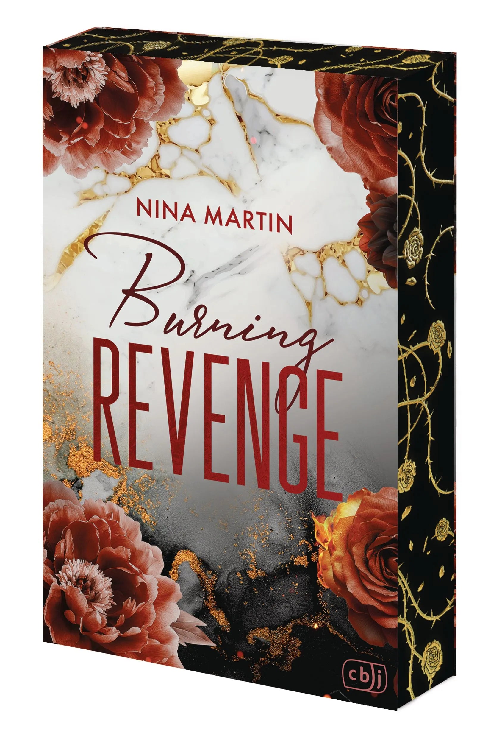 Cover: Burning Revenge (Paperback) von Nina Martin