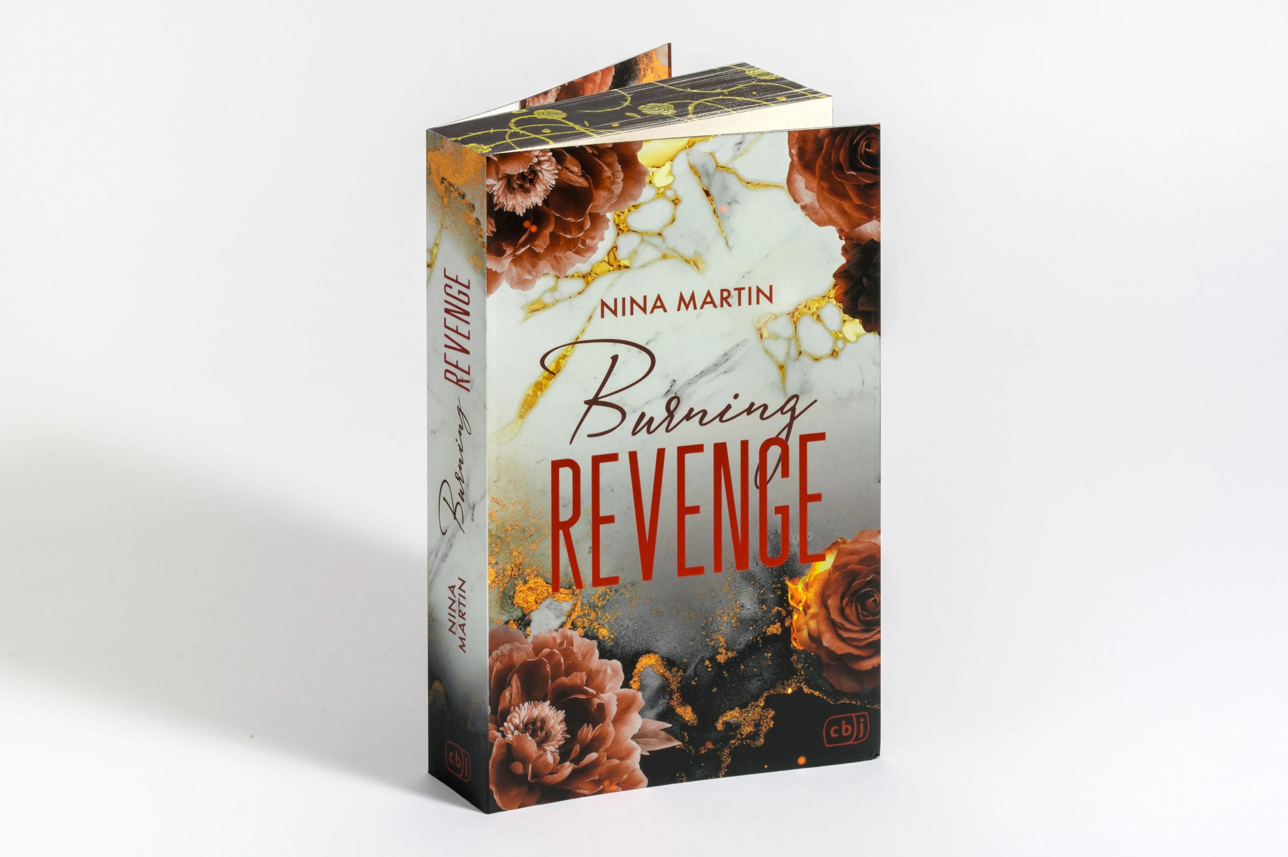 Detailansicht: Burning Revenge (Paperback)