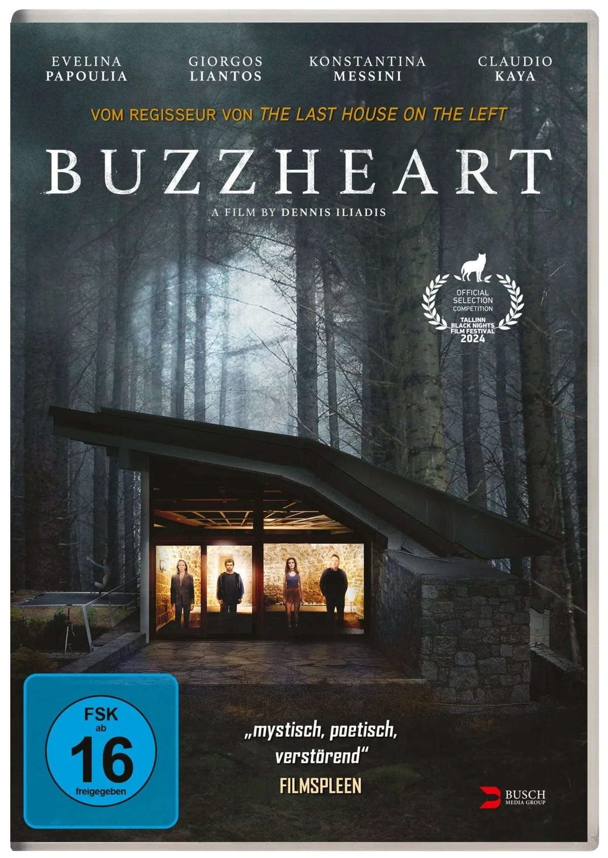 Buzzheart - DVD