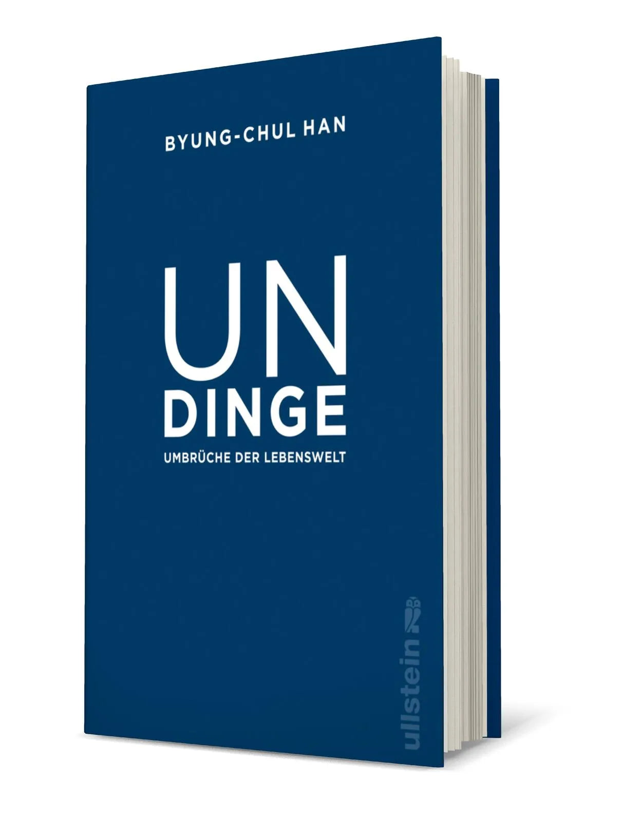 Produktansicht: Undinge (Gebundene Ausgabe)