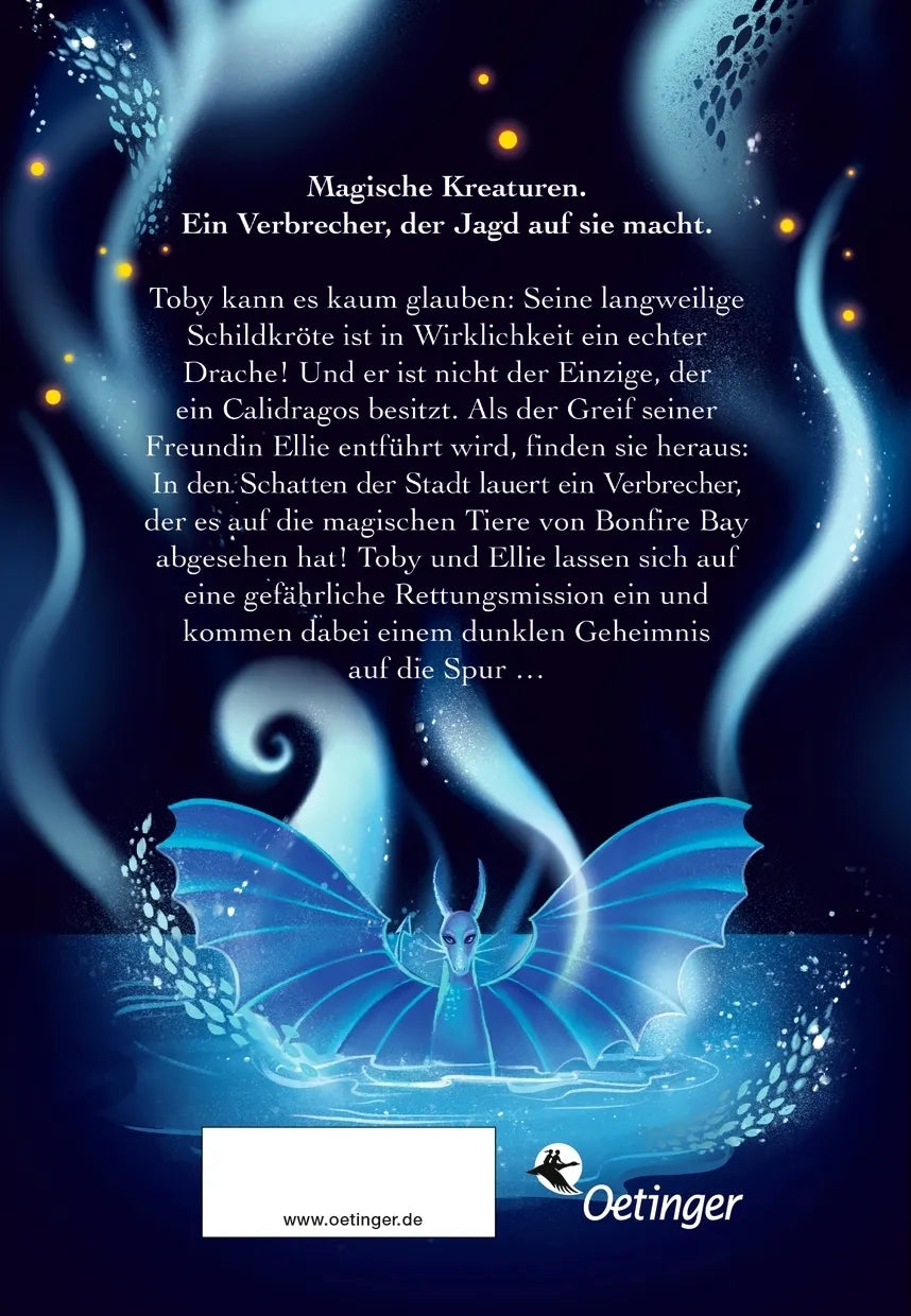 Buchrückseite von 'Calidragos 1. Der Ruf des Drachen' mit Klappentext - Gebundene Ausgabe