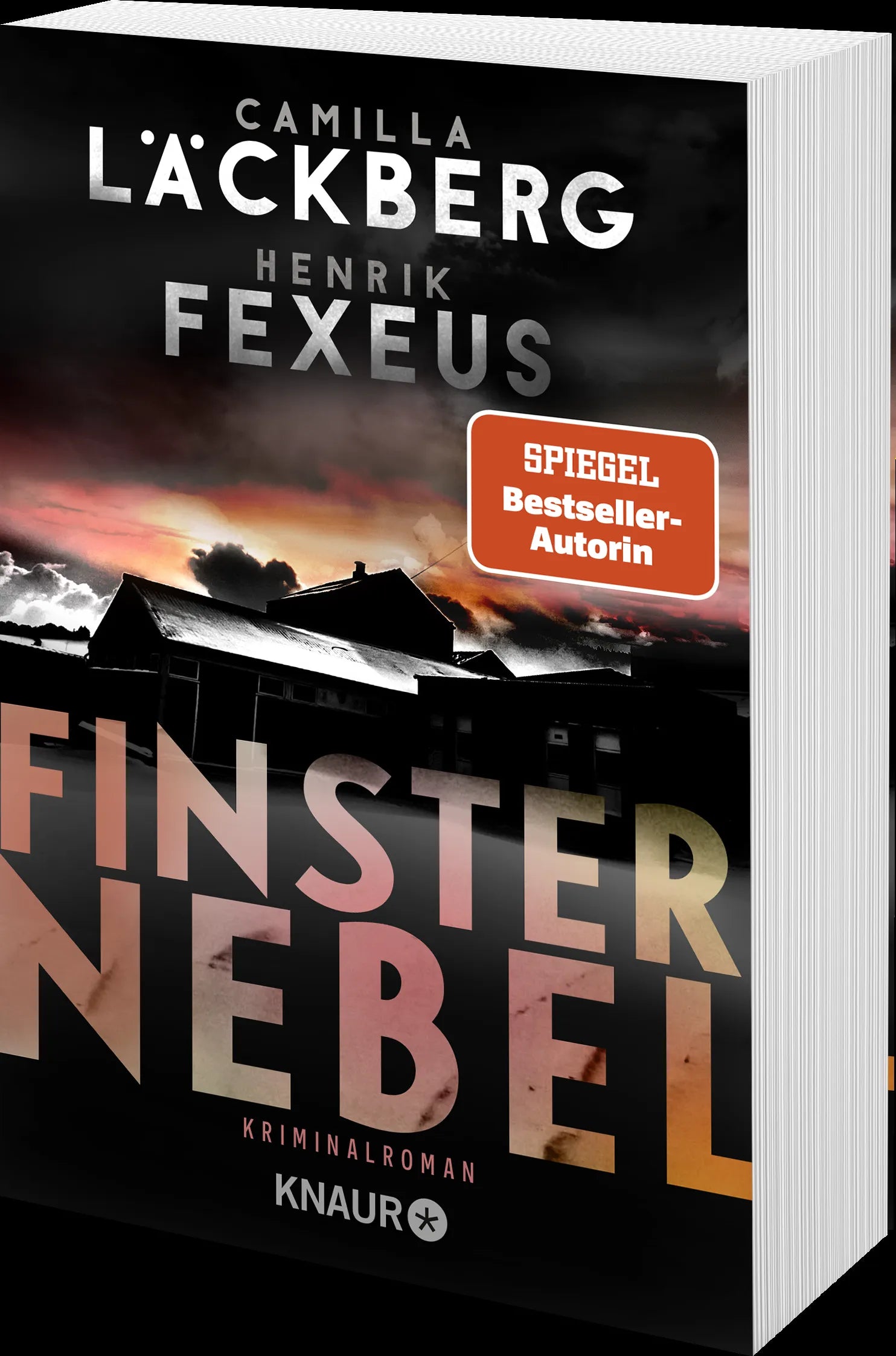 Produktansicht: Finsternebel (Taschenbuch)