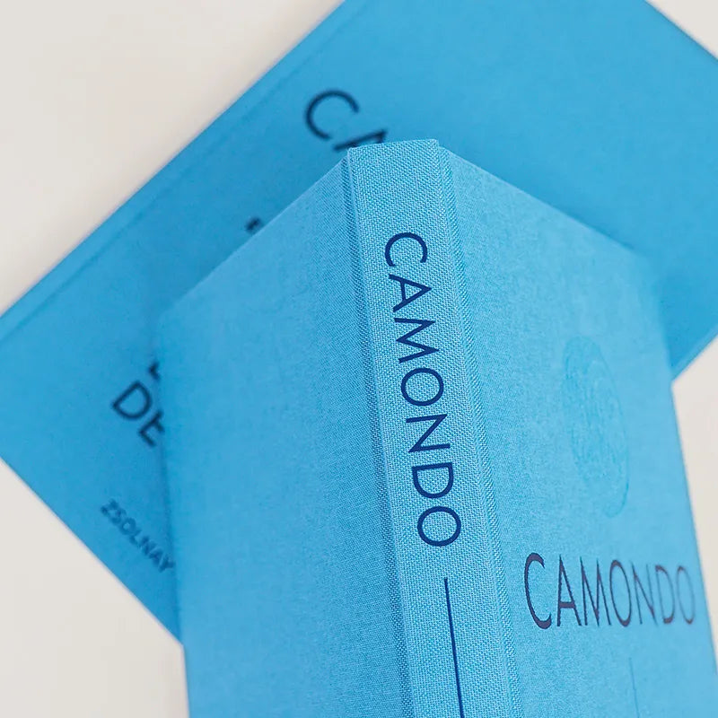 Edmund de Waal - Camondo