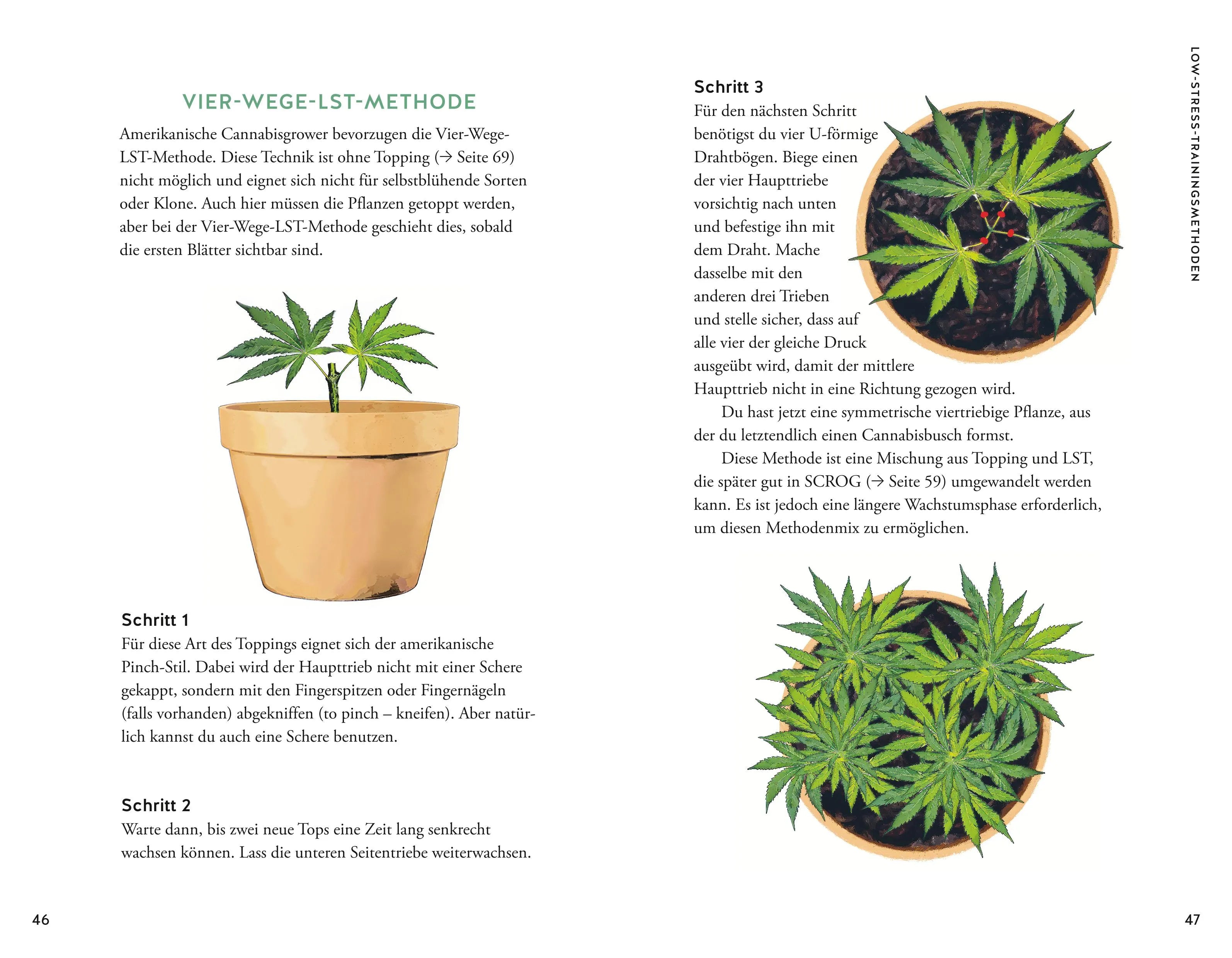 Produktansicht: Cannabis (Taschenbuch)