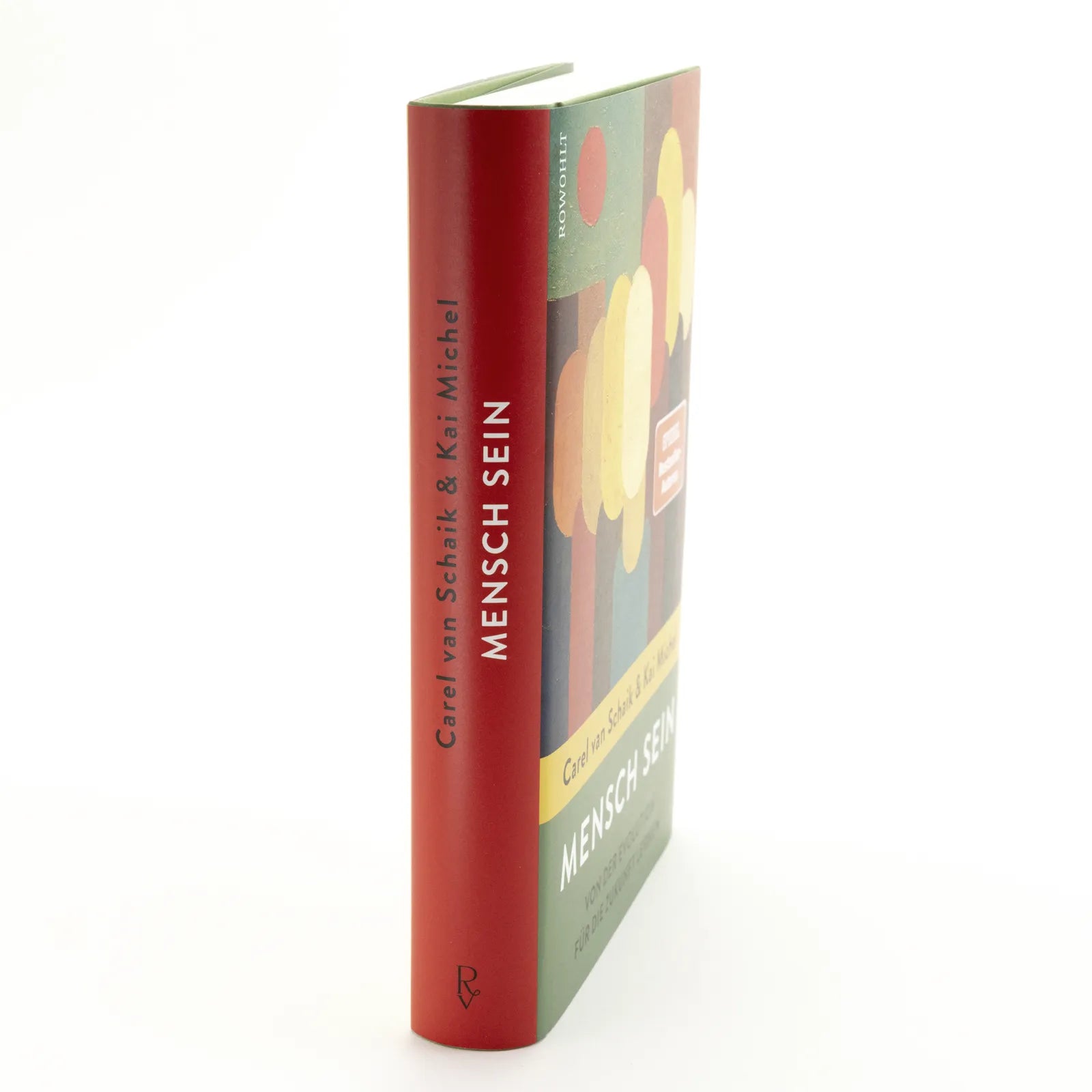 Produktansicht: Mensch sein (Gebundene Ausgabe)