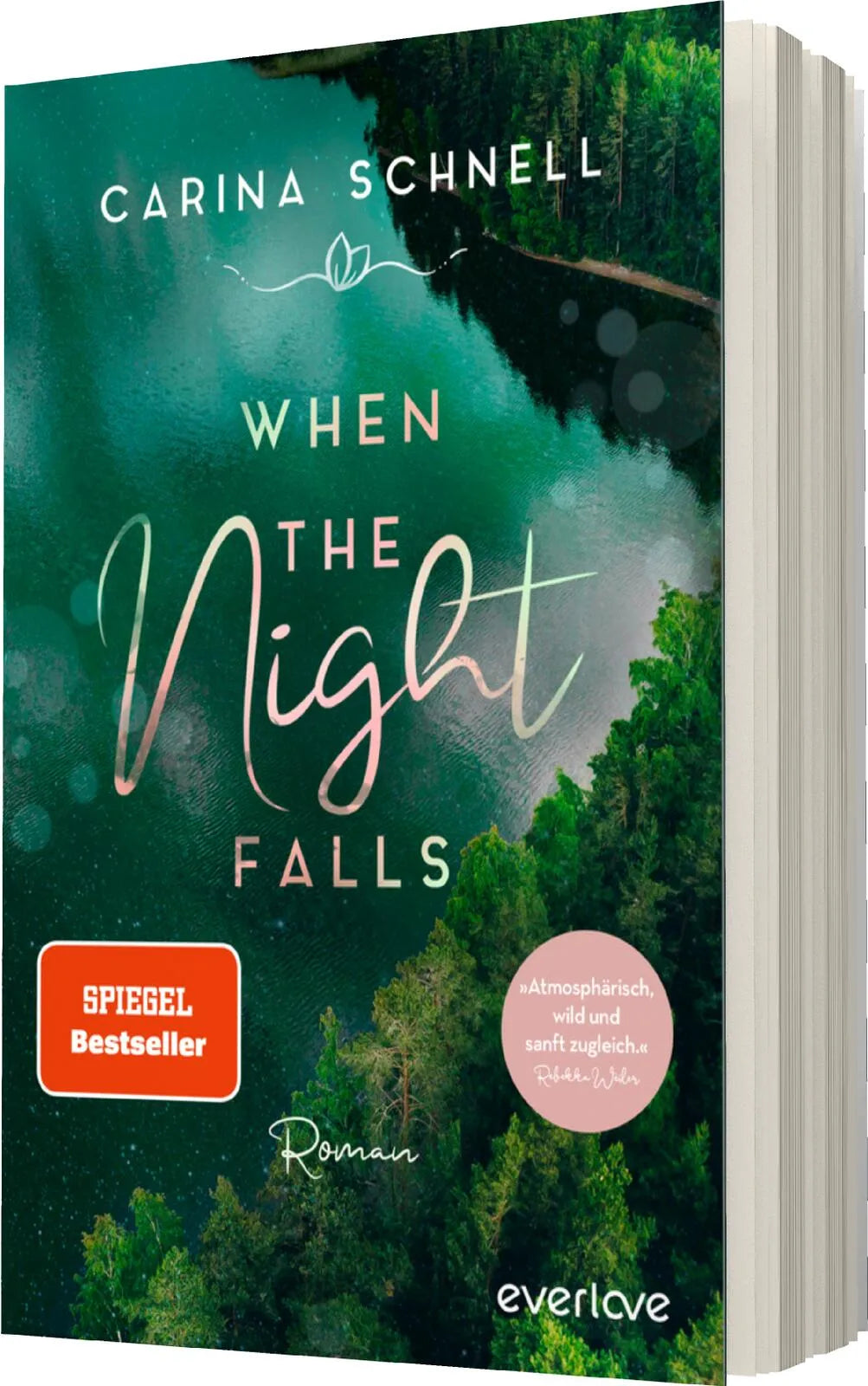 Produktansicht: When the Night Falls (Paperback)