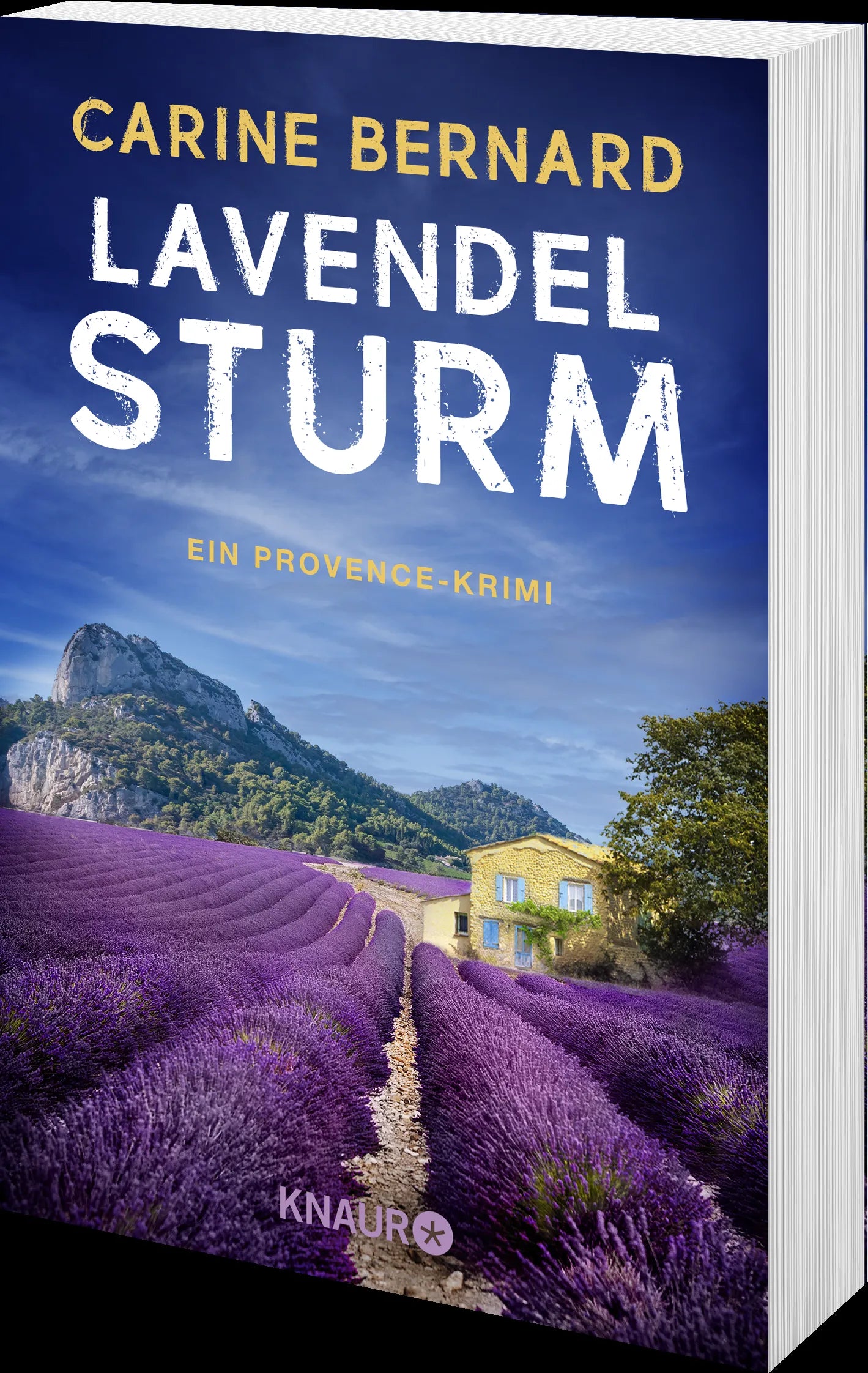 Produktansicht: Lavendel-Sturm (Taschenbuch)