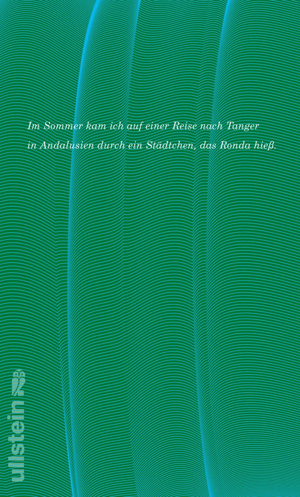Buchrückseite von 'Carmen oder Bin ich das Arschloch der Achtziger Jahre' mit Klappentext - Taschenbuch