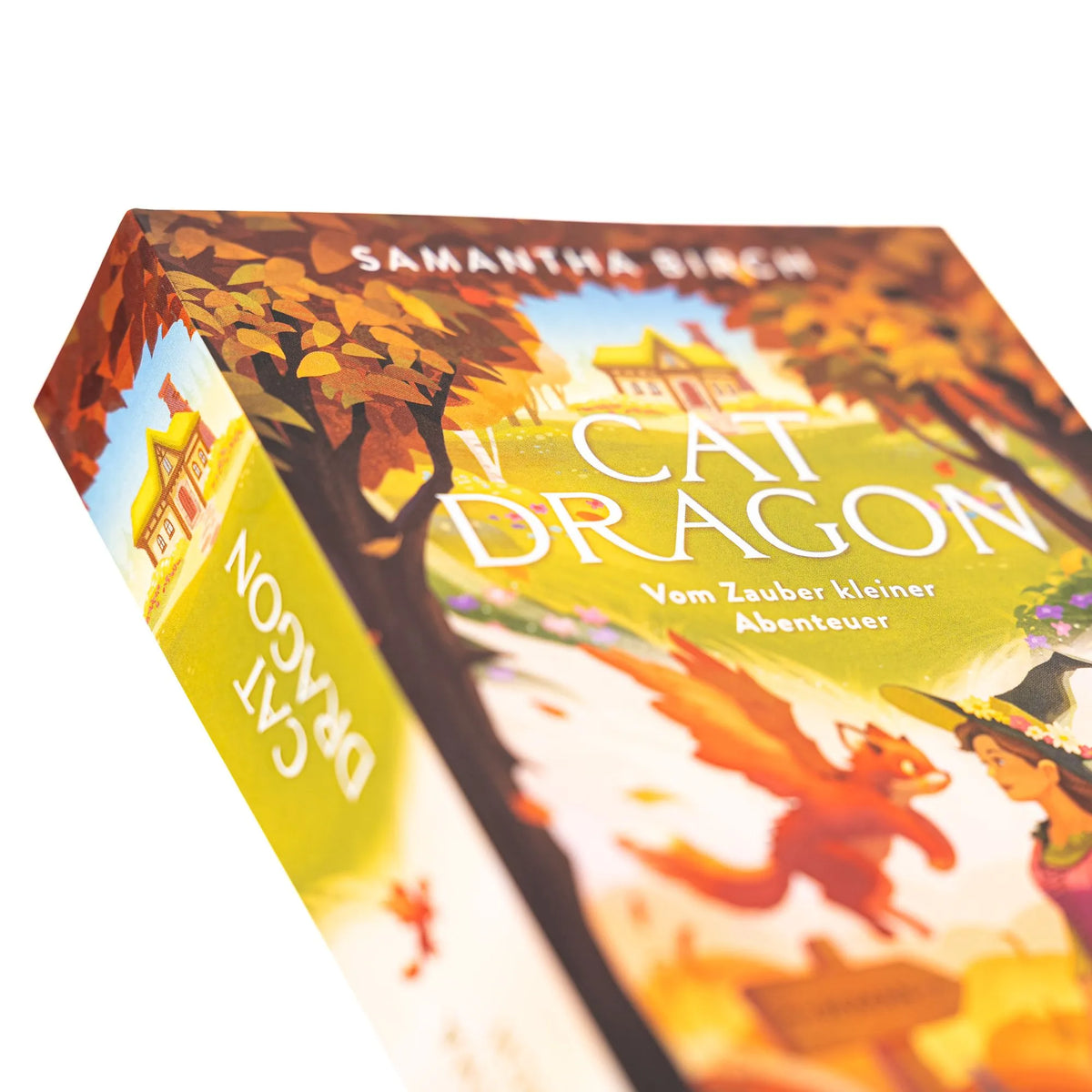 Detailansicht: Cat Dragon. Vom Zauber kleiner Abenteuer (Taschenbuch)