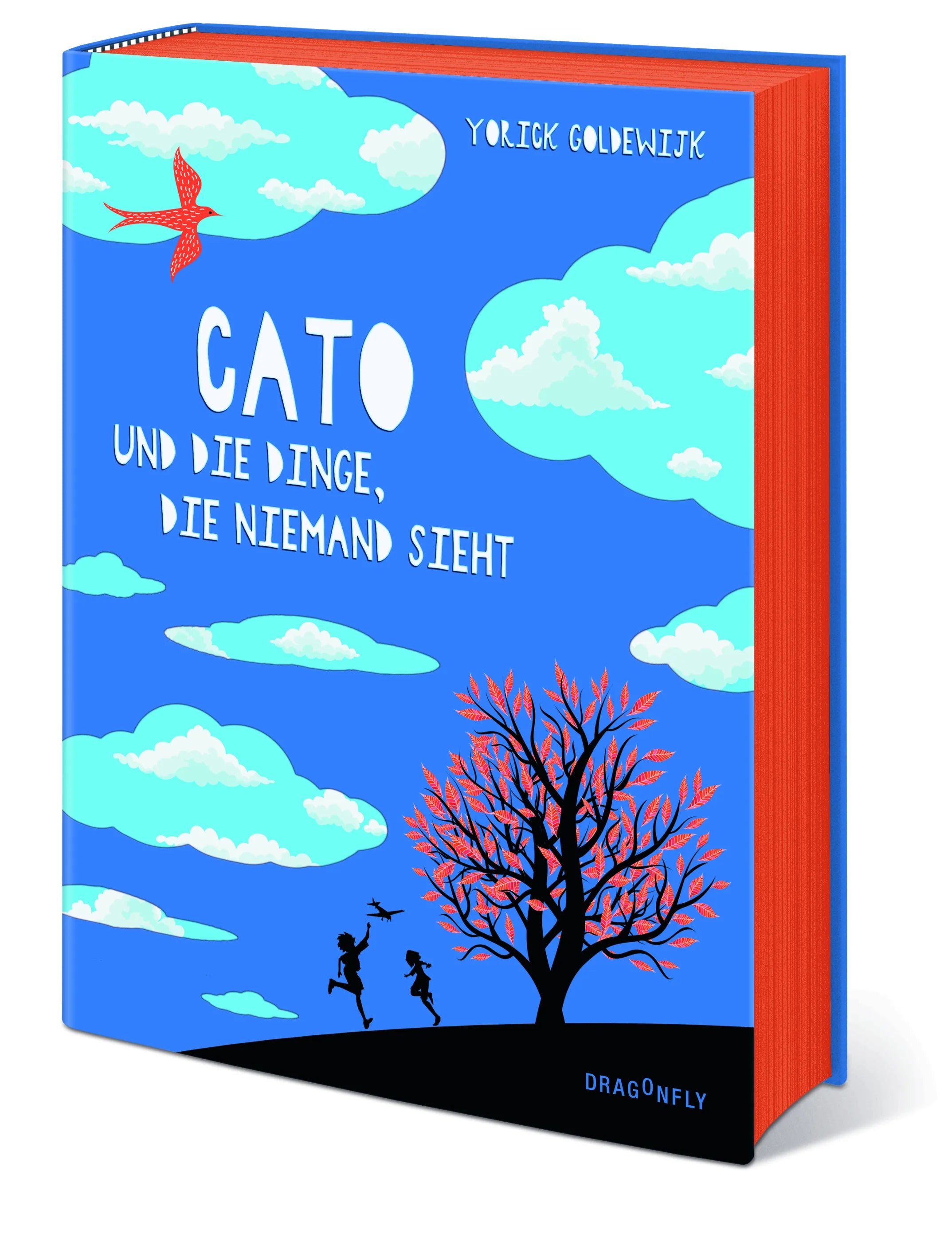 Yorick Goldewijk - Cato und die Dinge, die niemand sieht