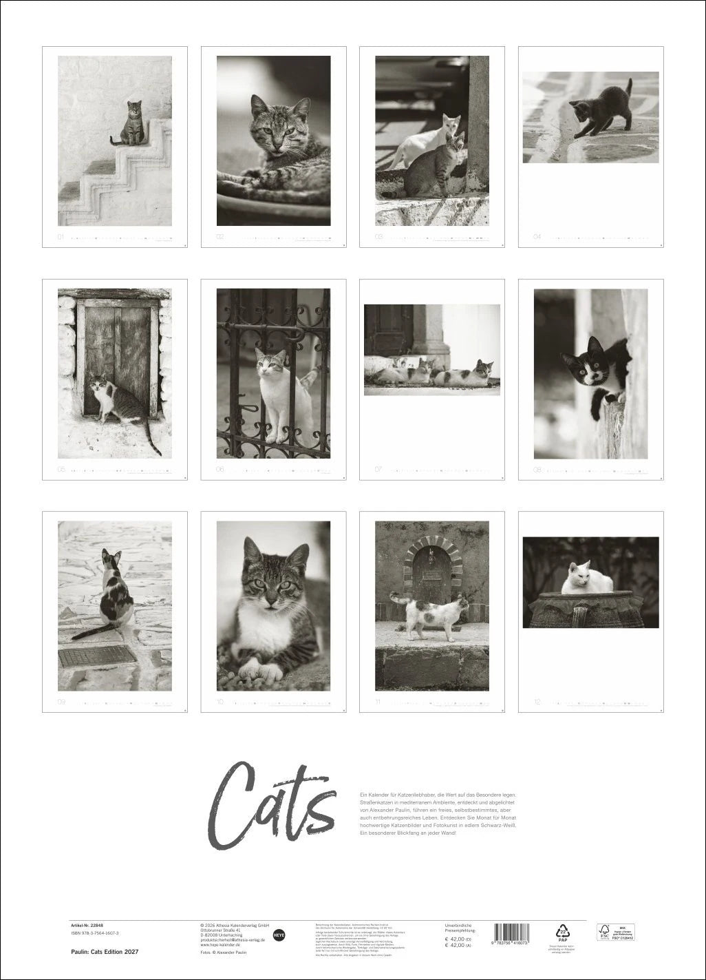 Cats Edition Kalender 2027 – Ansicht
