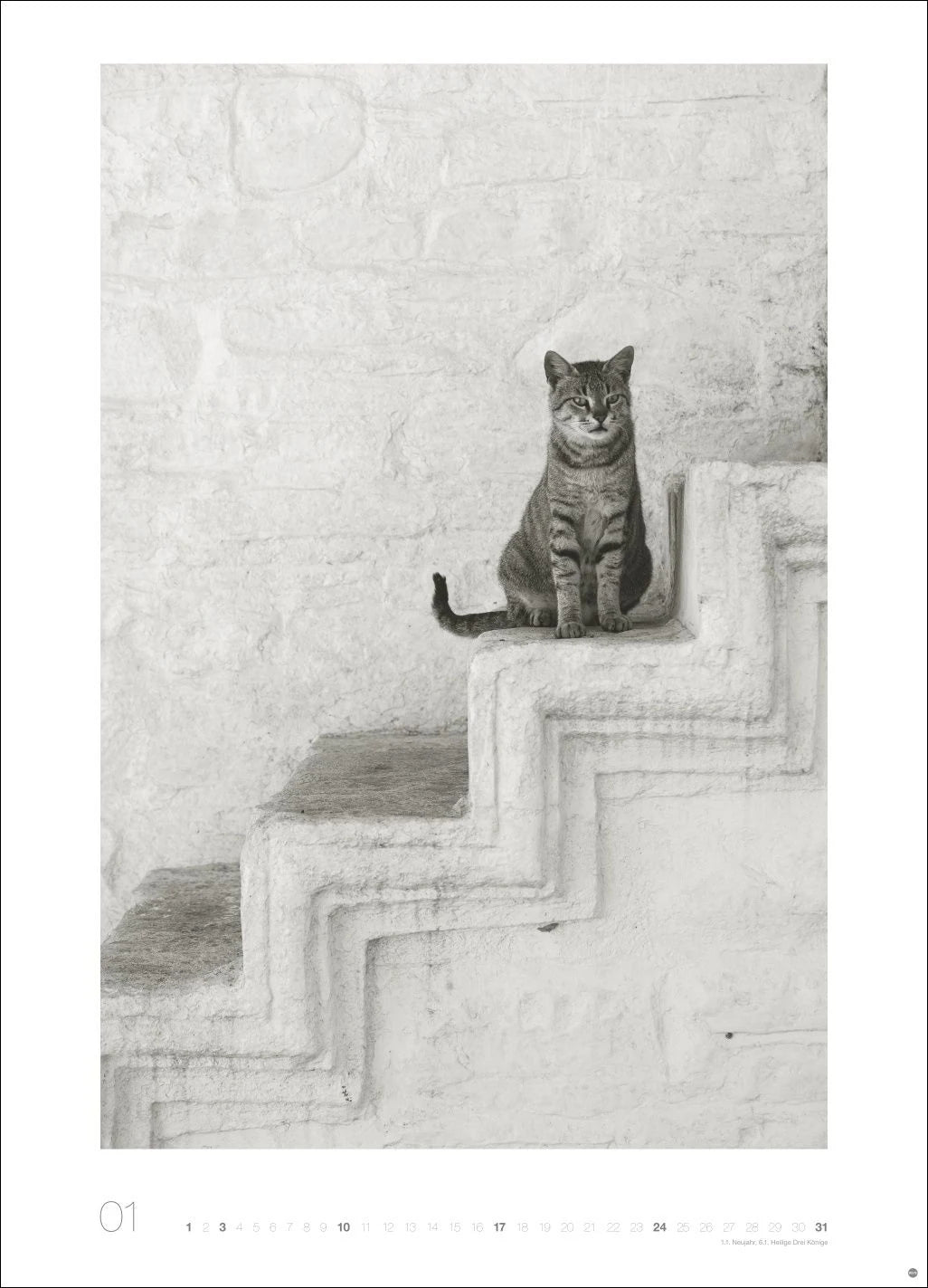 Cats Edition Kalender 2027 – Ansicht