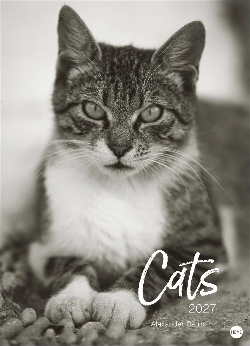 Wandkalender: Cats Edition Kalender 2027