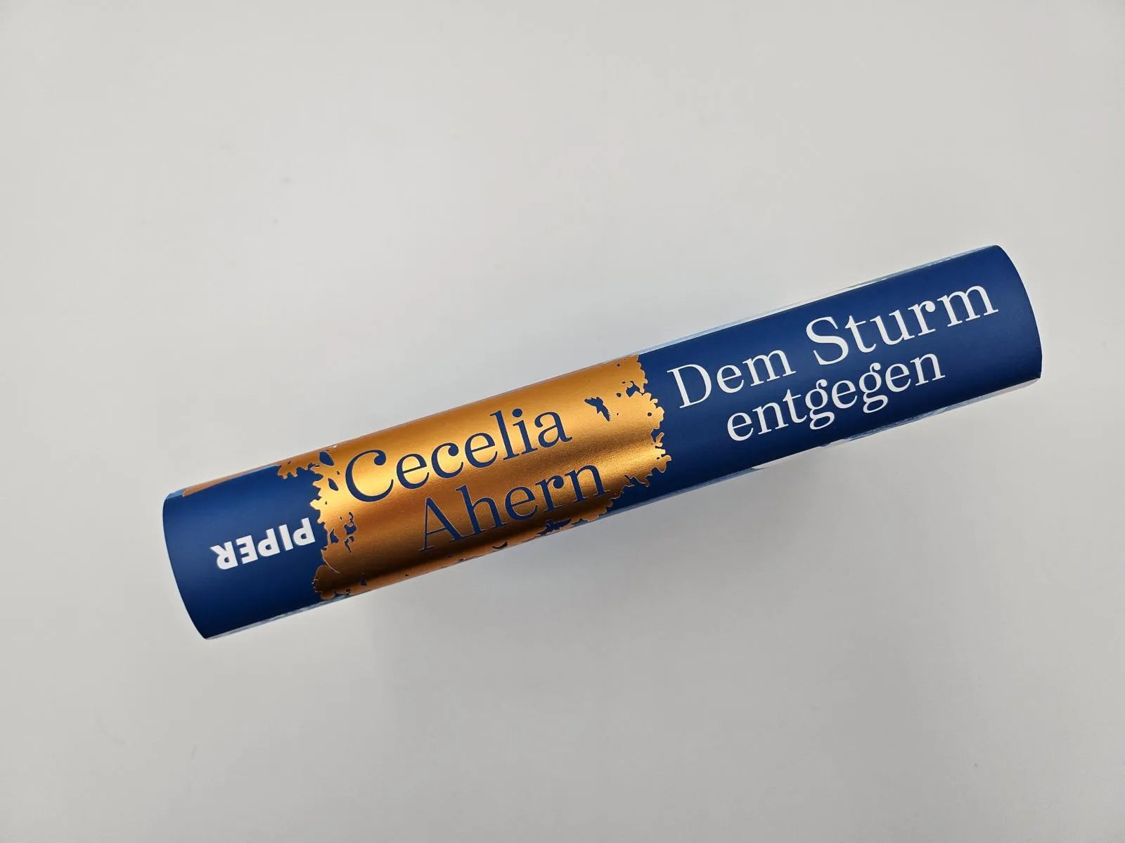 Produktansicht: Dem Sturm entgegen (Gebundene Ausgabe)
