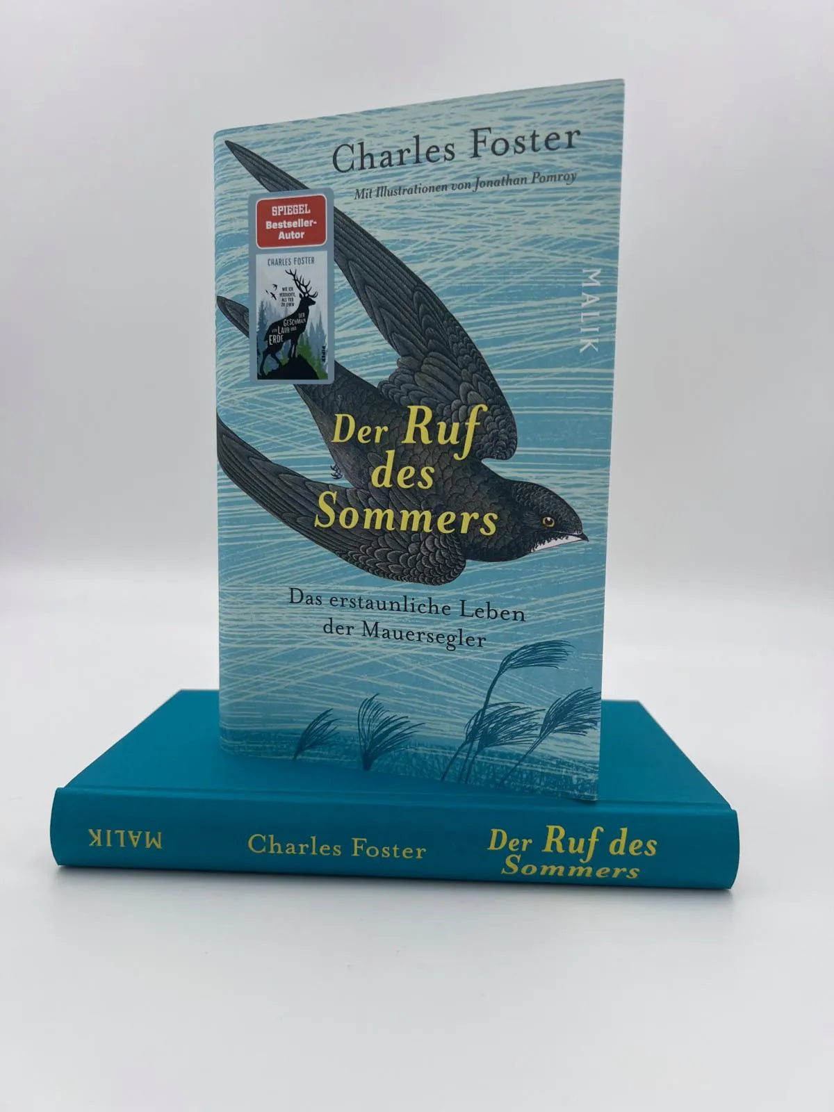 Produktansicht: Der Ruf des Sommers (Gebundene Ausgabe)